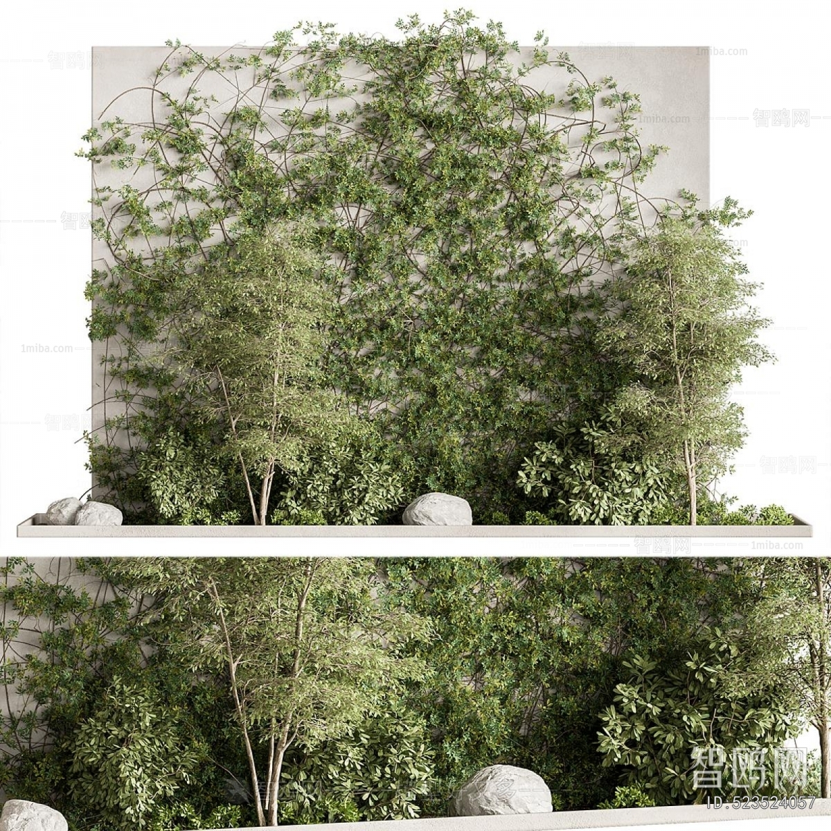 Modern Plant Landscaping