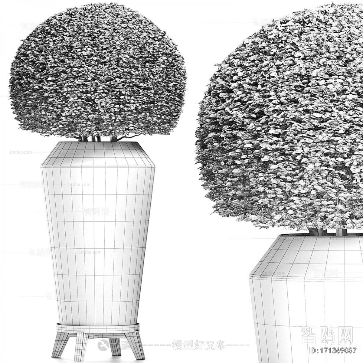 Modern Ground Green Plant Potted Plants