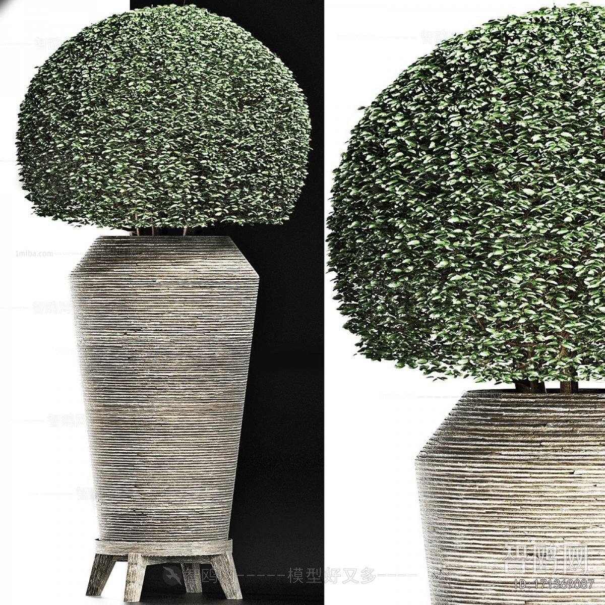 Modern Ground Green Plant Potted Plants