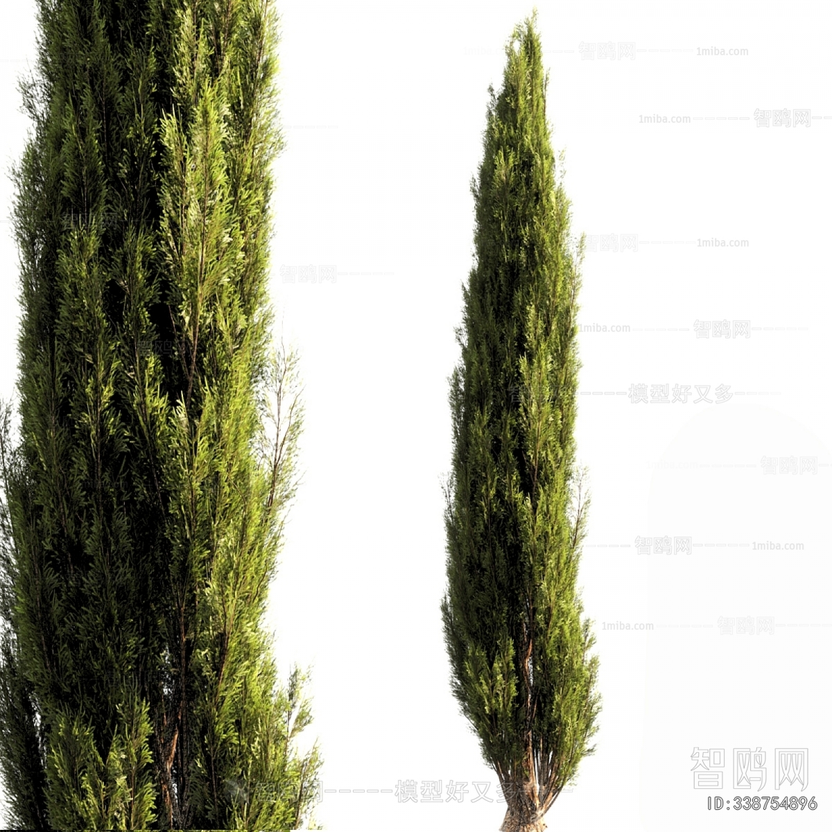 Modern Tree