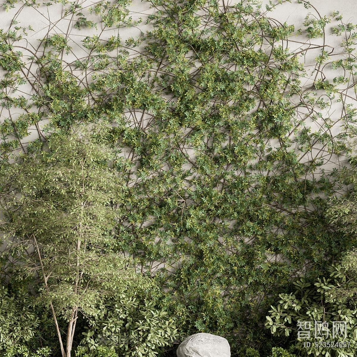 Modern Plant Landscaping