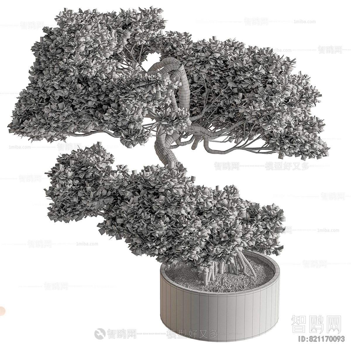 Modern Ground Green Plant Potted Plants