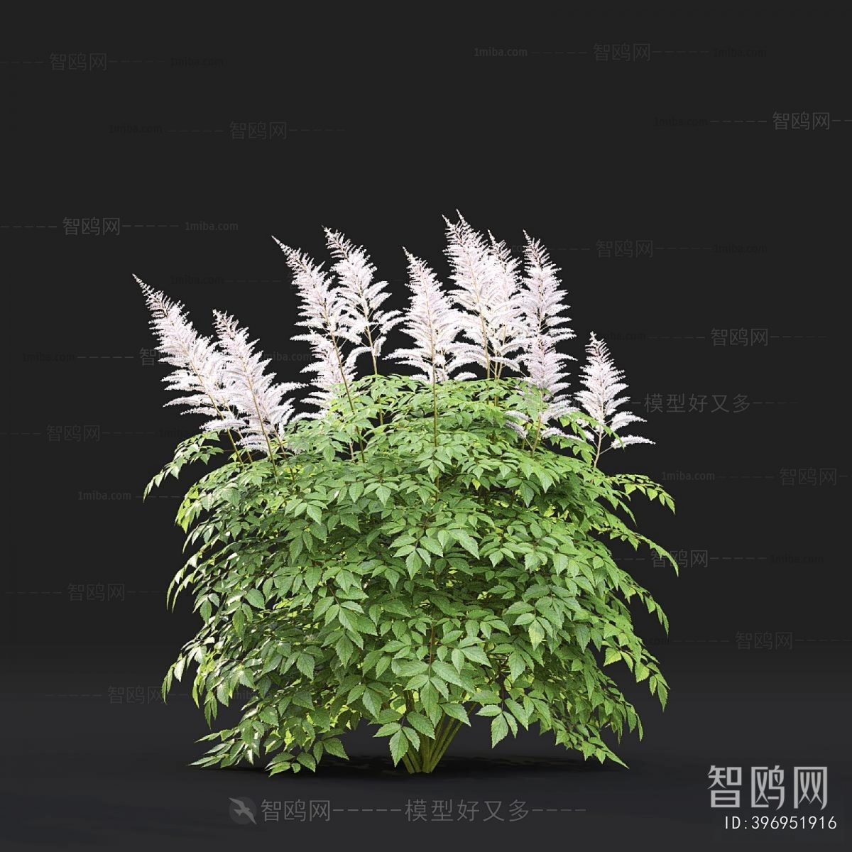 Modern Flowers And Grass