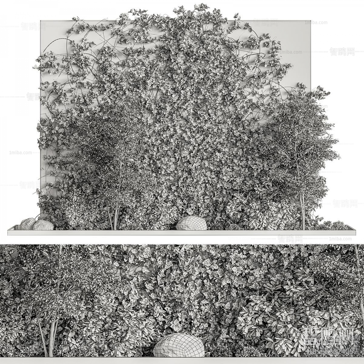 Modern Plant Landscaping