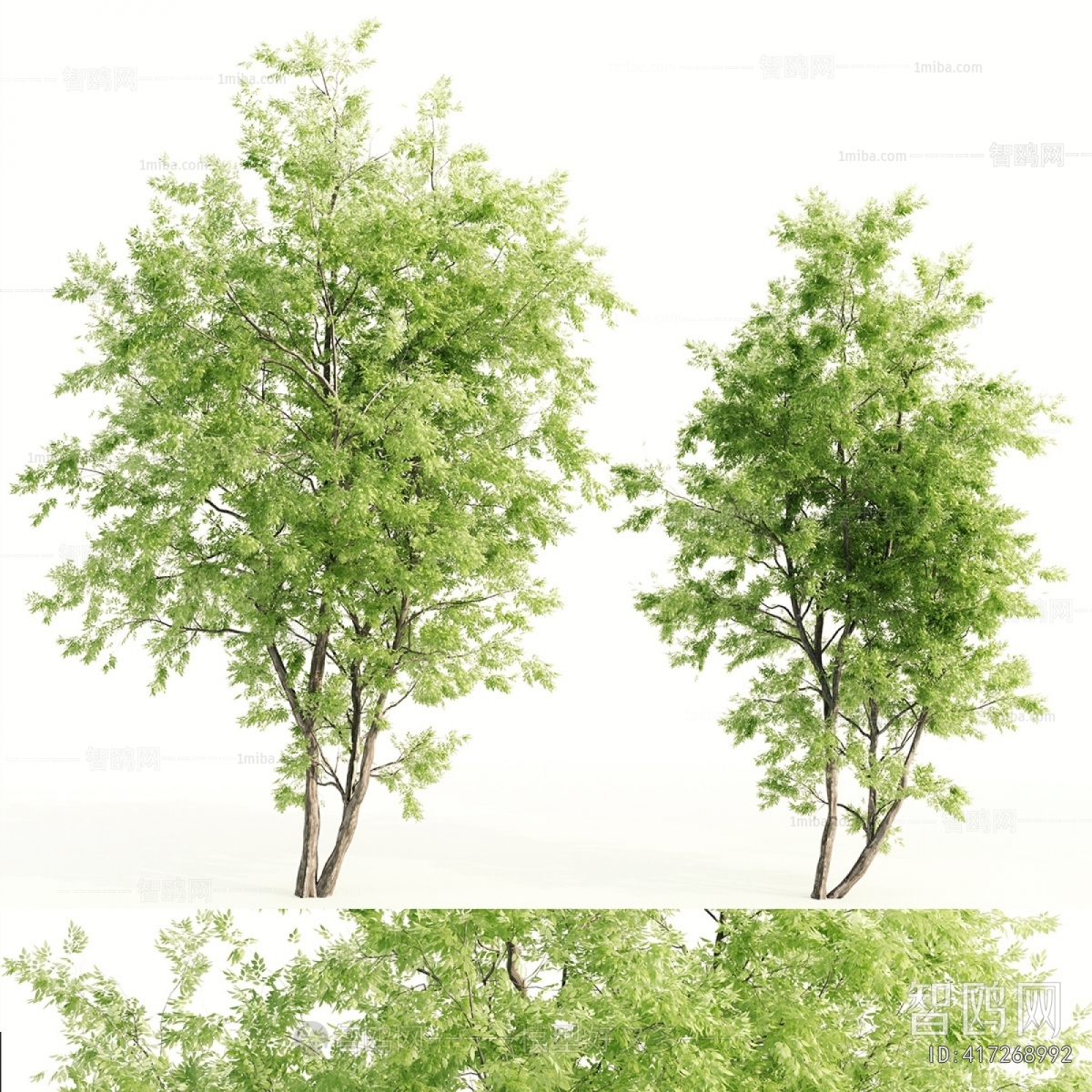 Modern Tree