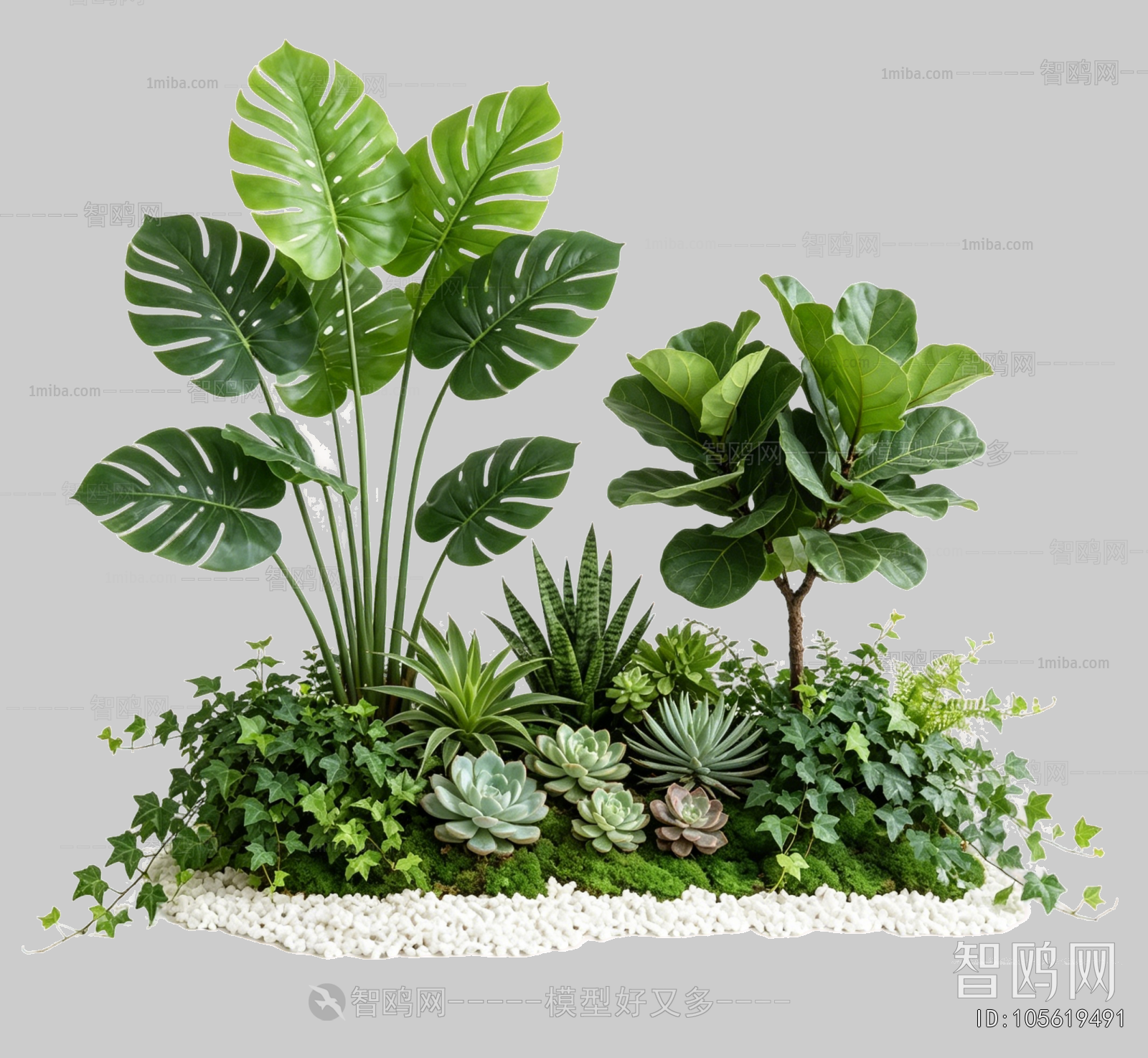 Plant Leaves