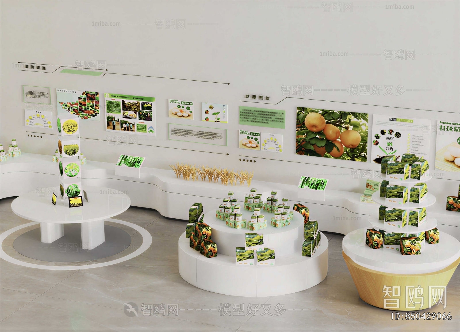 Modern Showcase
