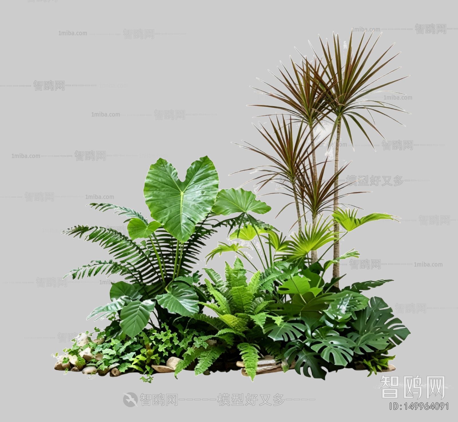 Plant Leaves