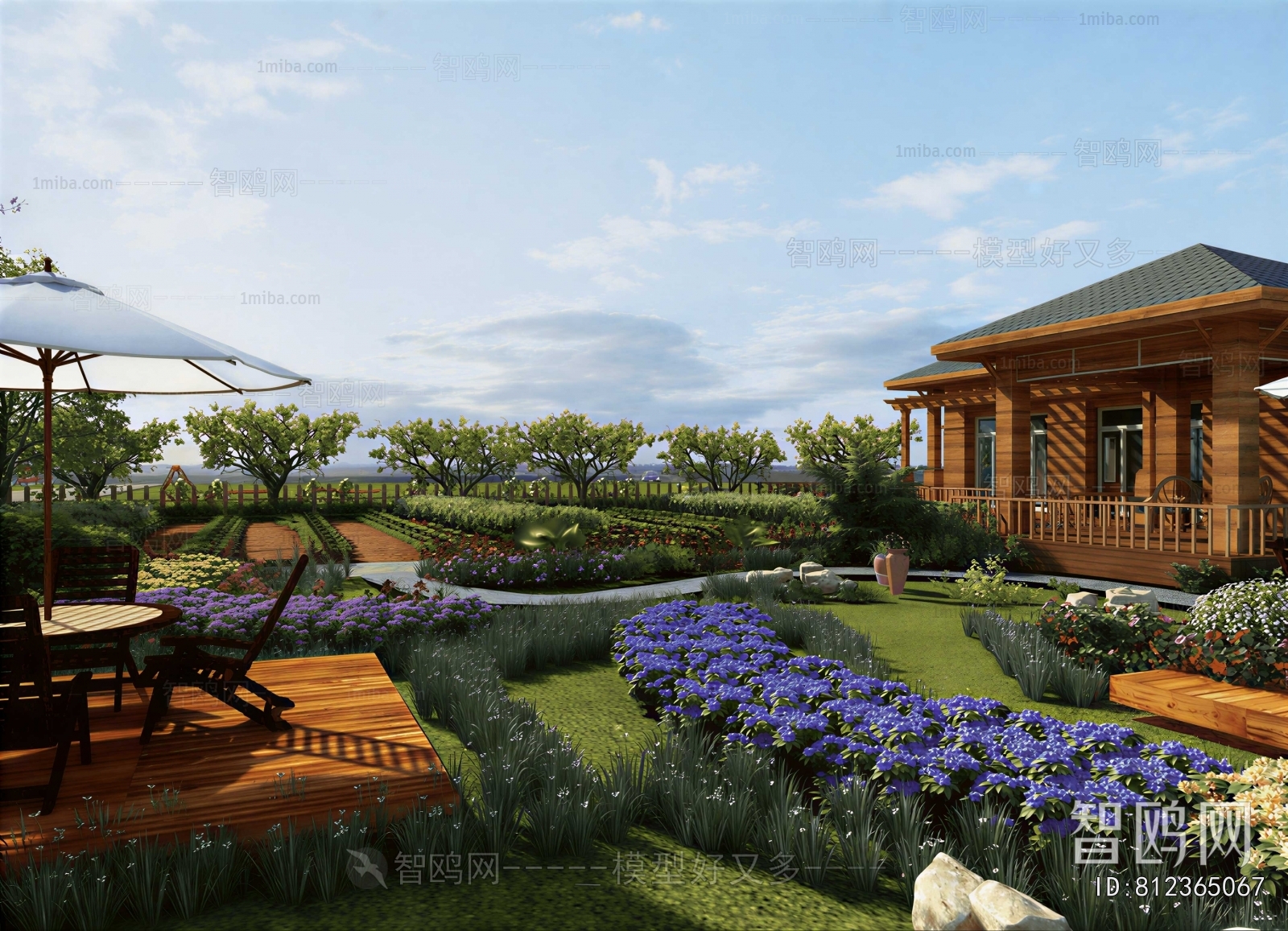 Modern Courtyard/landscape