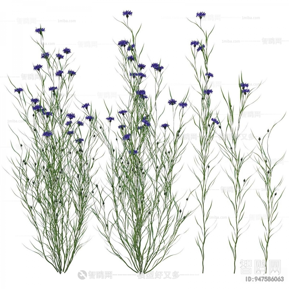 Modern Flowers And Grass
