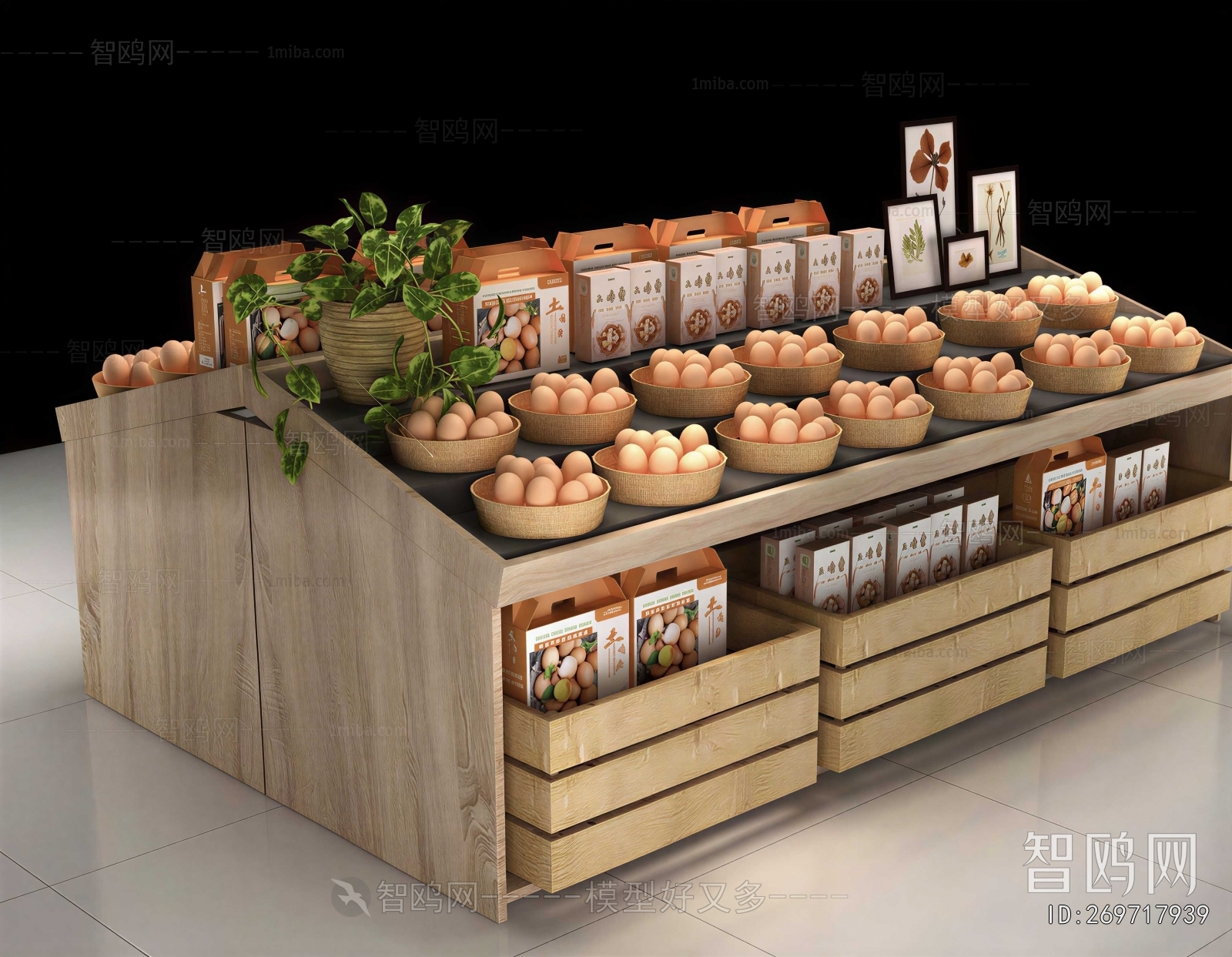 Modern Showcase