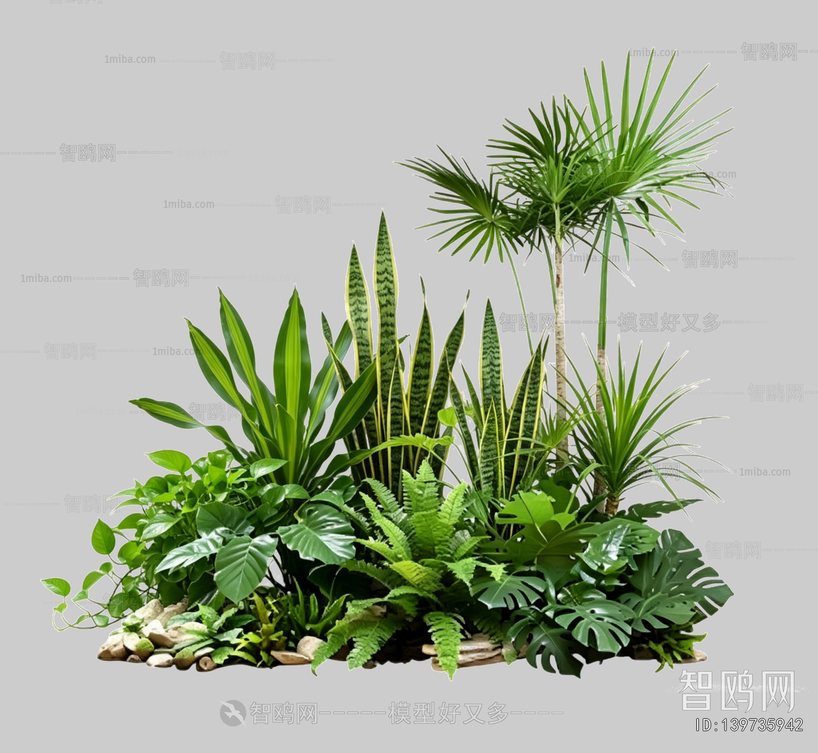 Plant Leaves