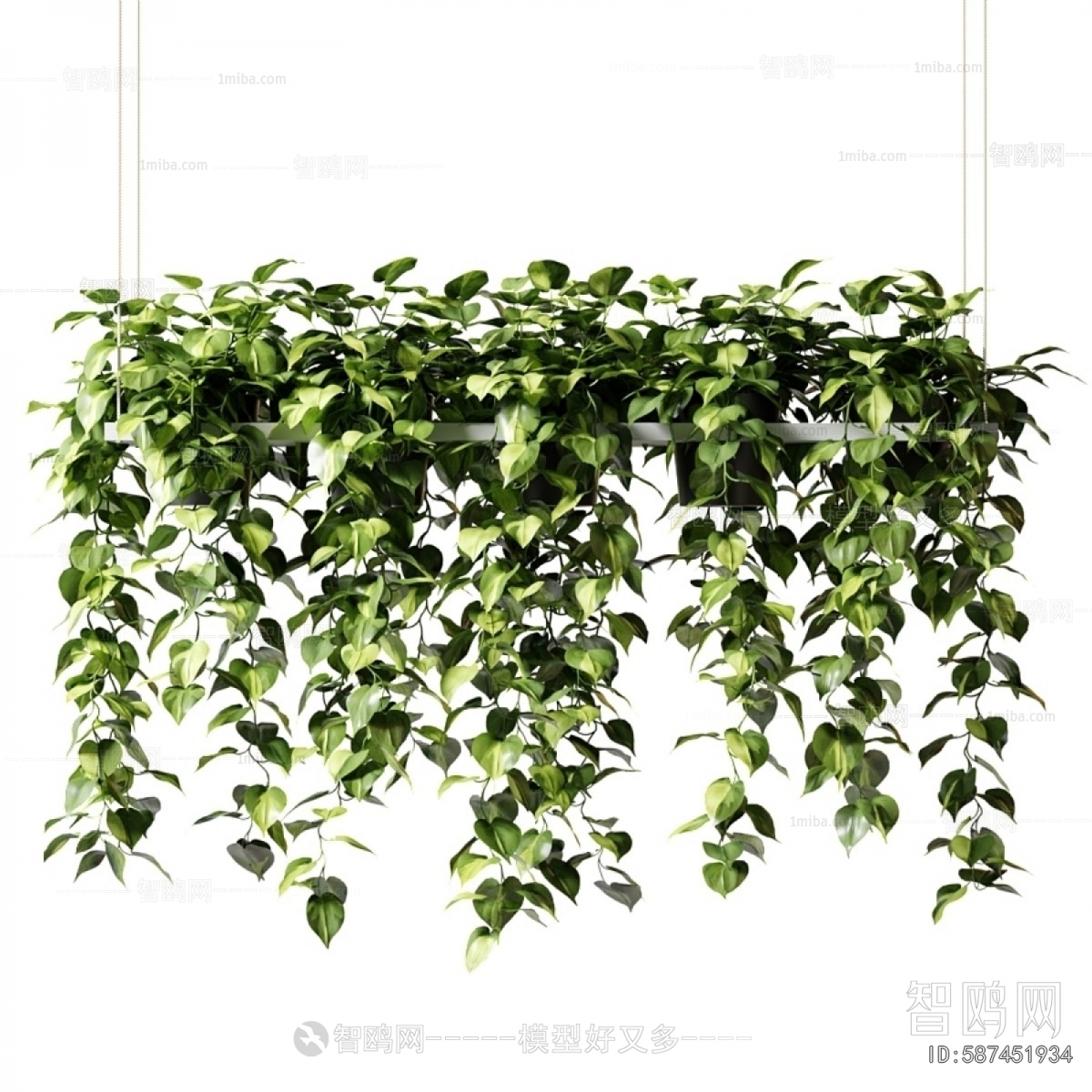 Modern Plant