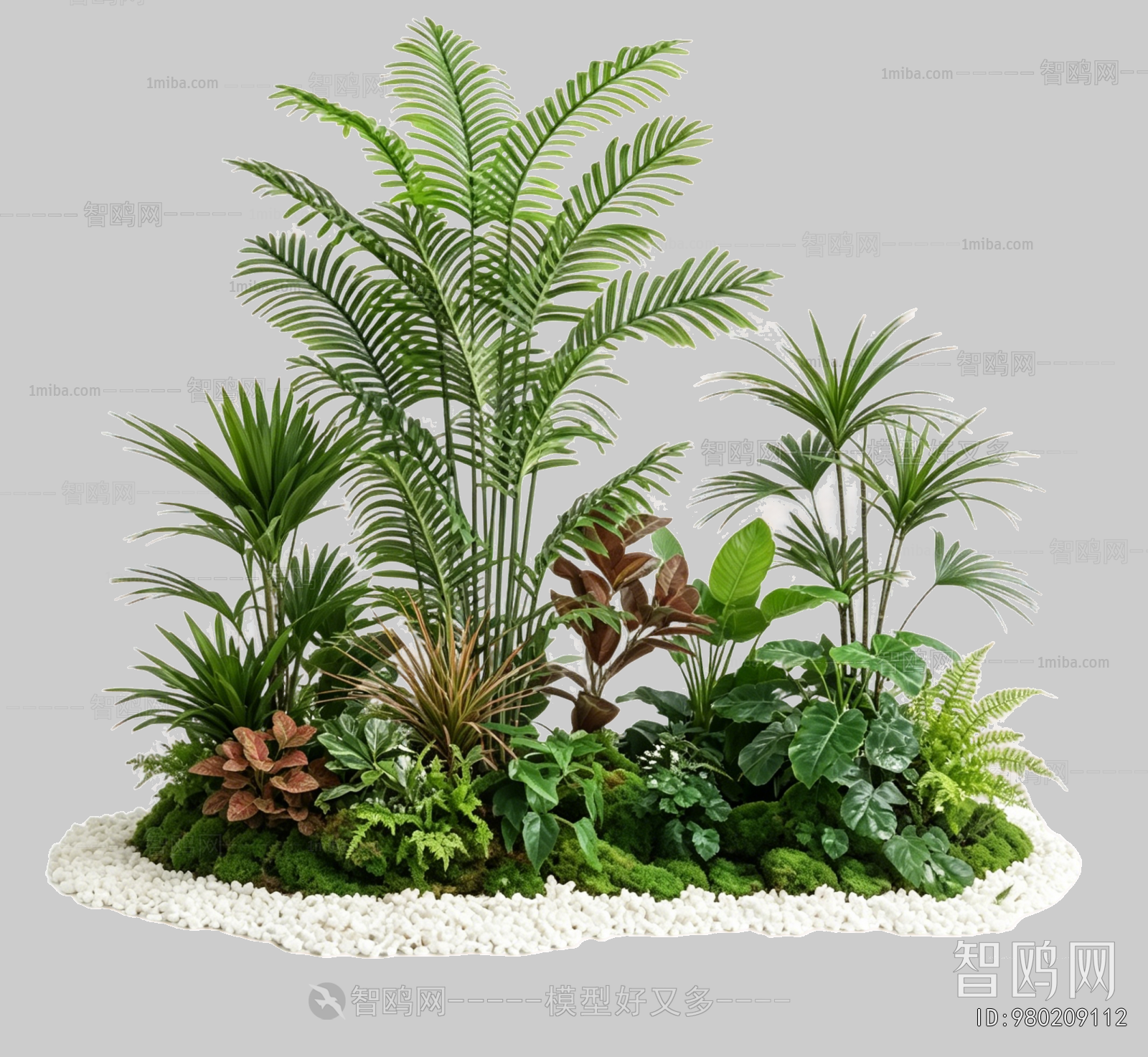 Plant Leaves