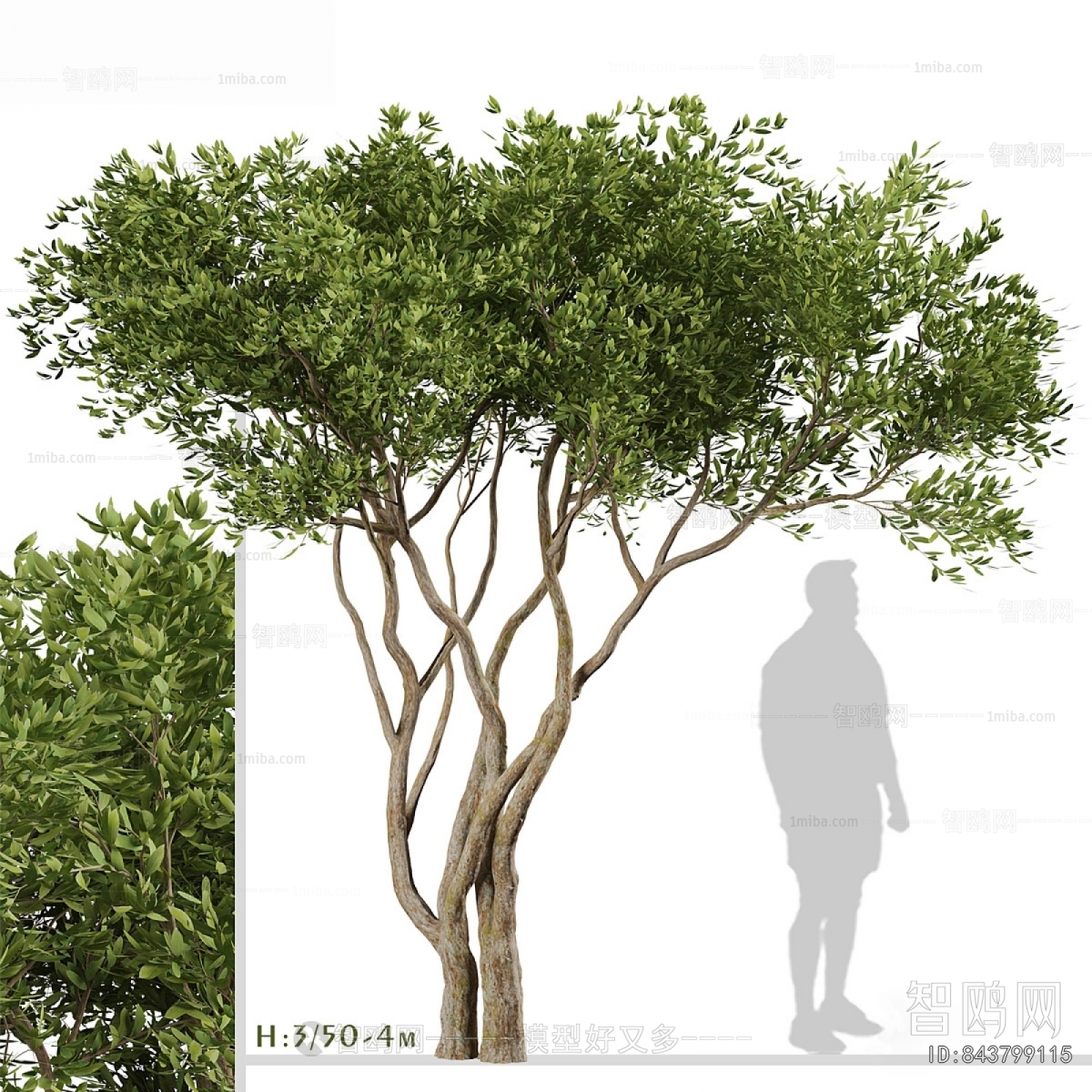Modern Tree