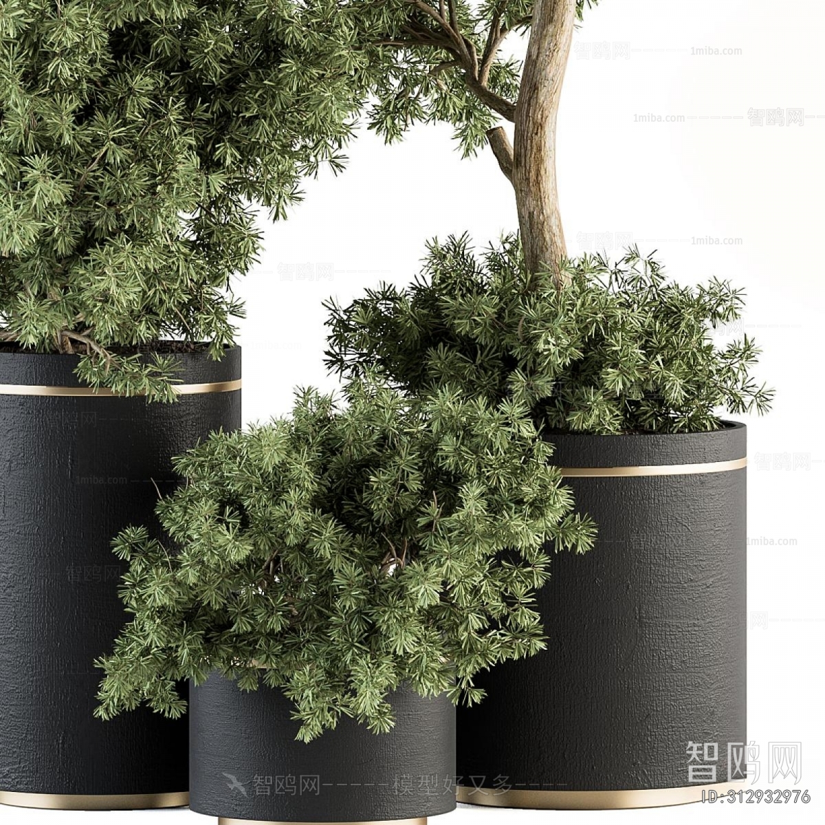 Modern Flower Bed, Flower Bowl, Flower Box