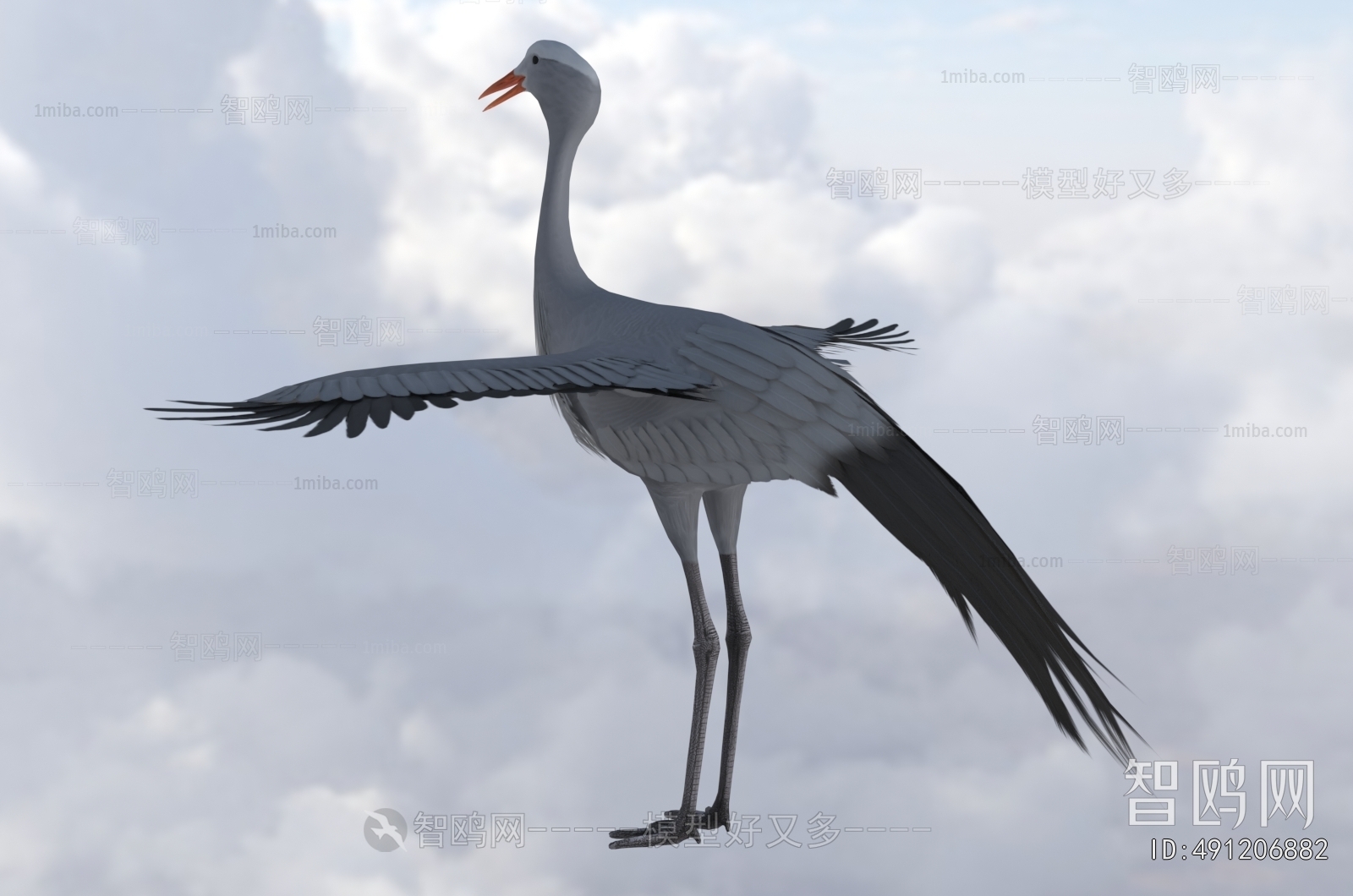 Modern Flying Animals