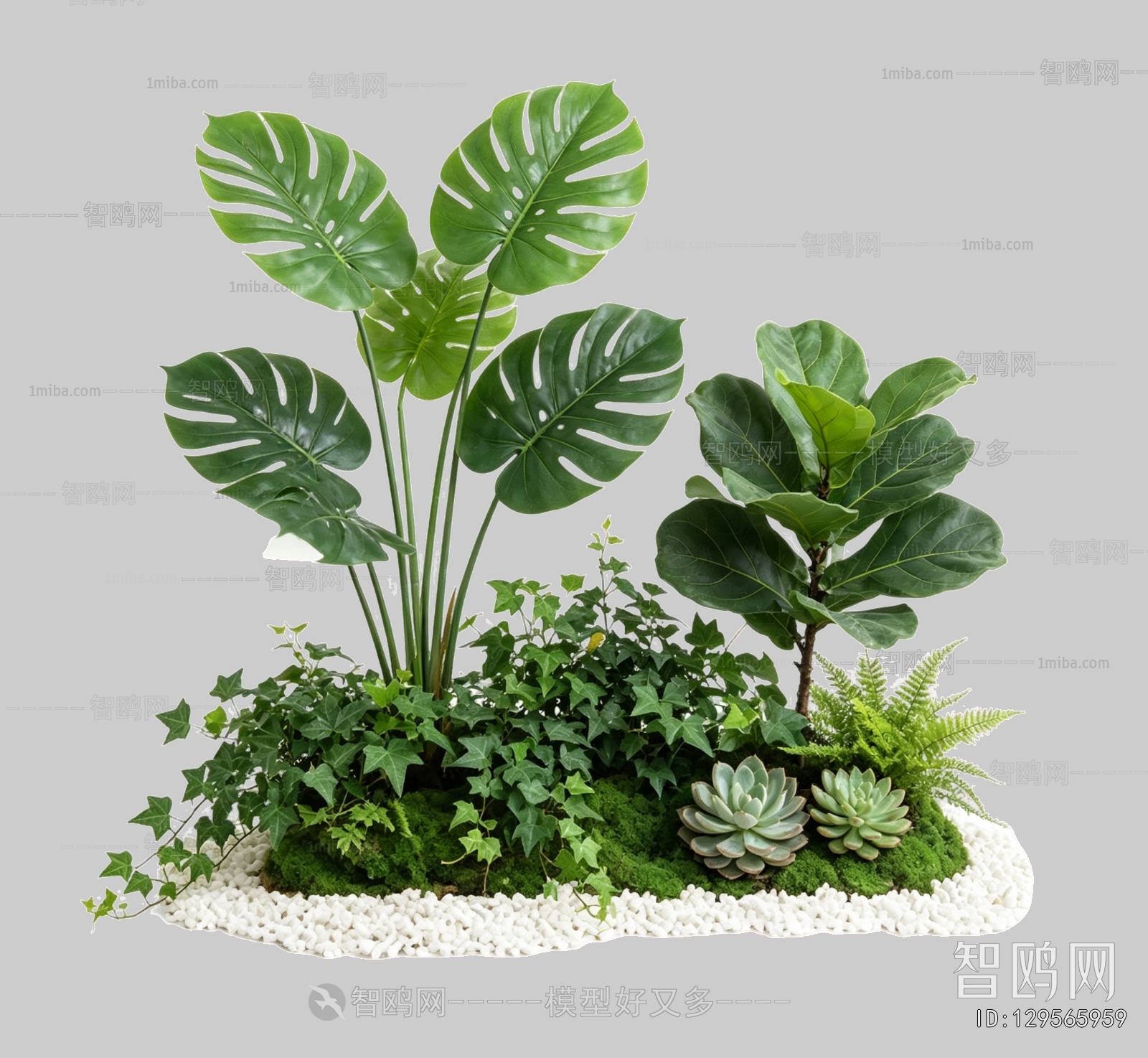 Plant Leaves
