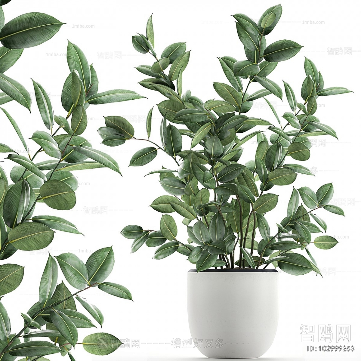 Modern Potted Green Plant