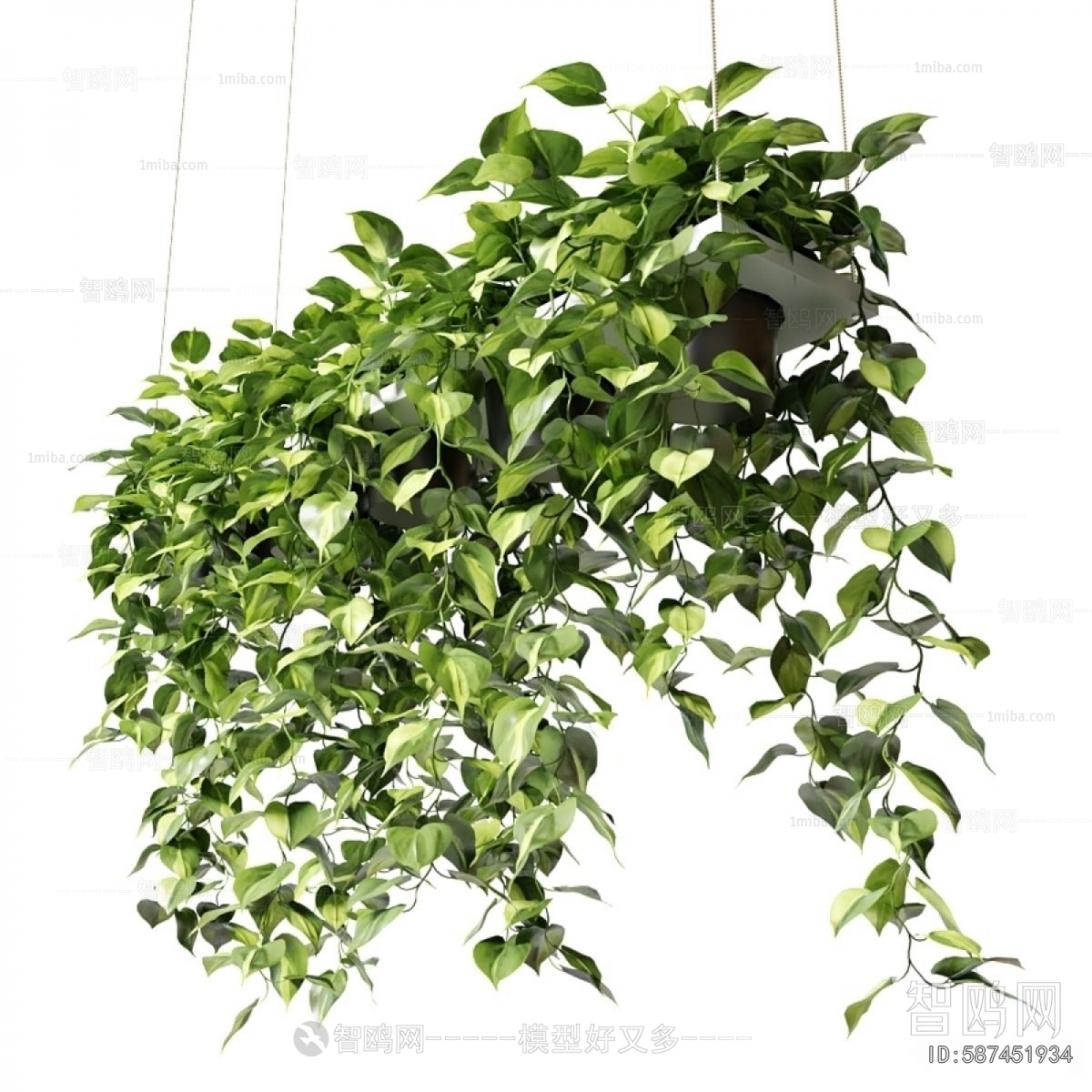 Modern Plant