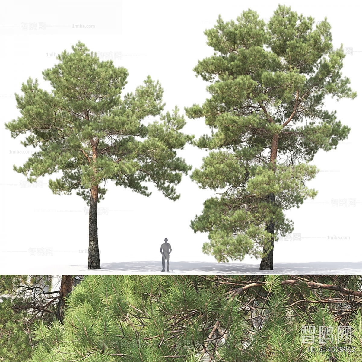 Modern Tree