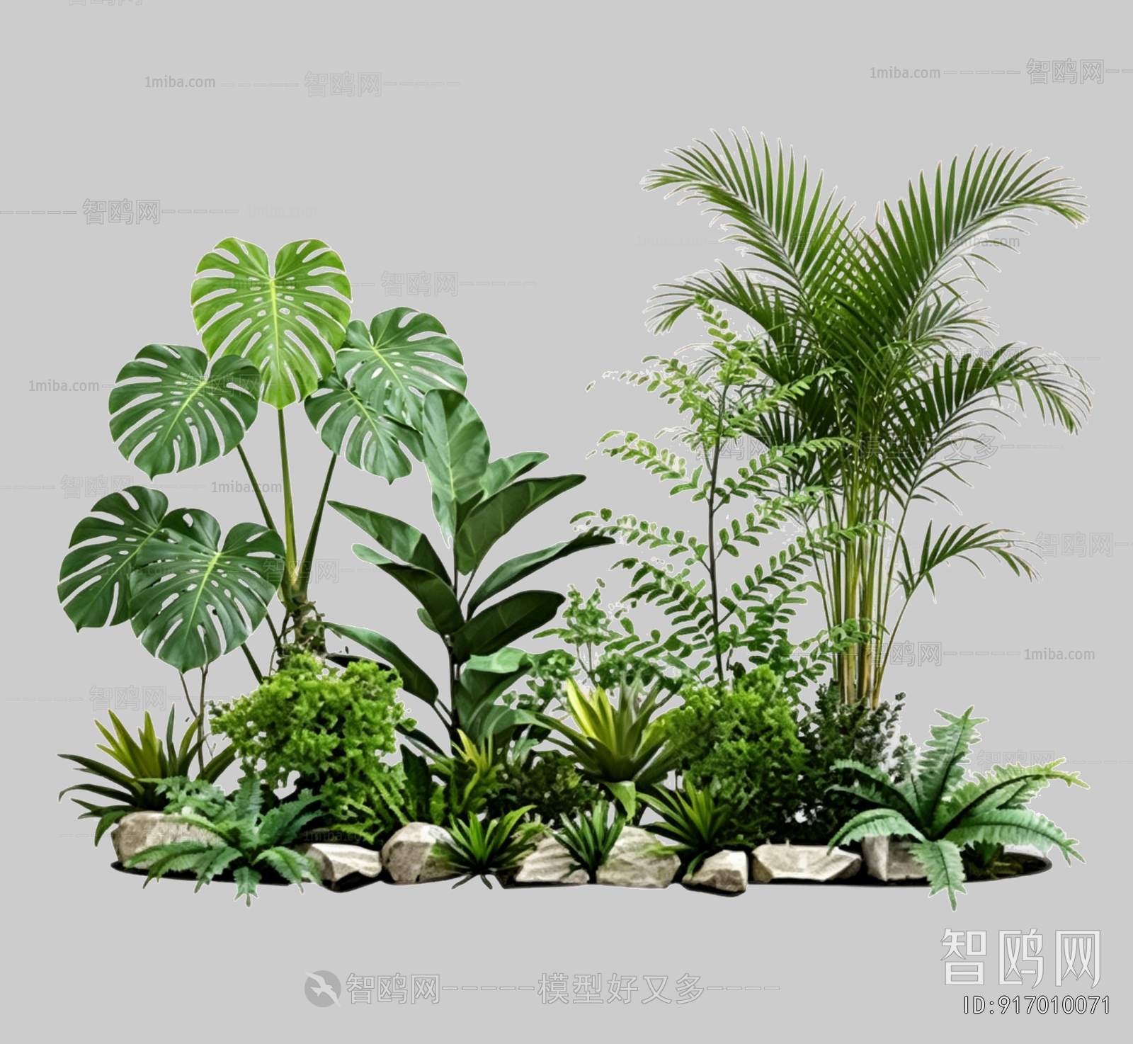 Plant Leaves