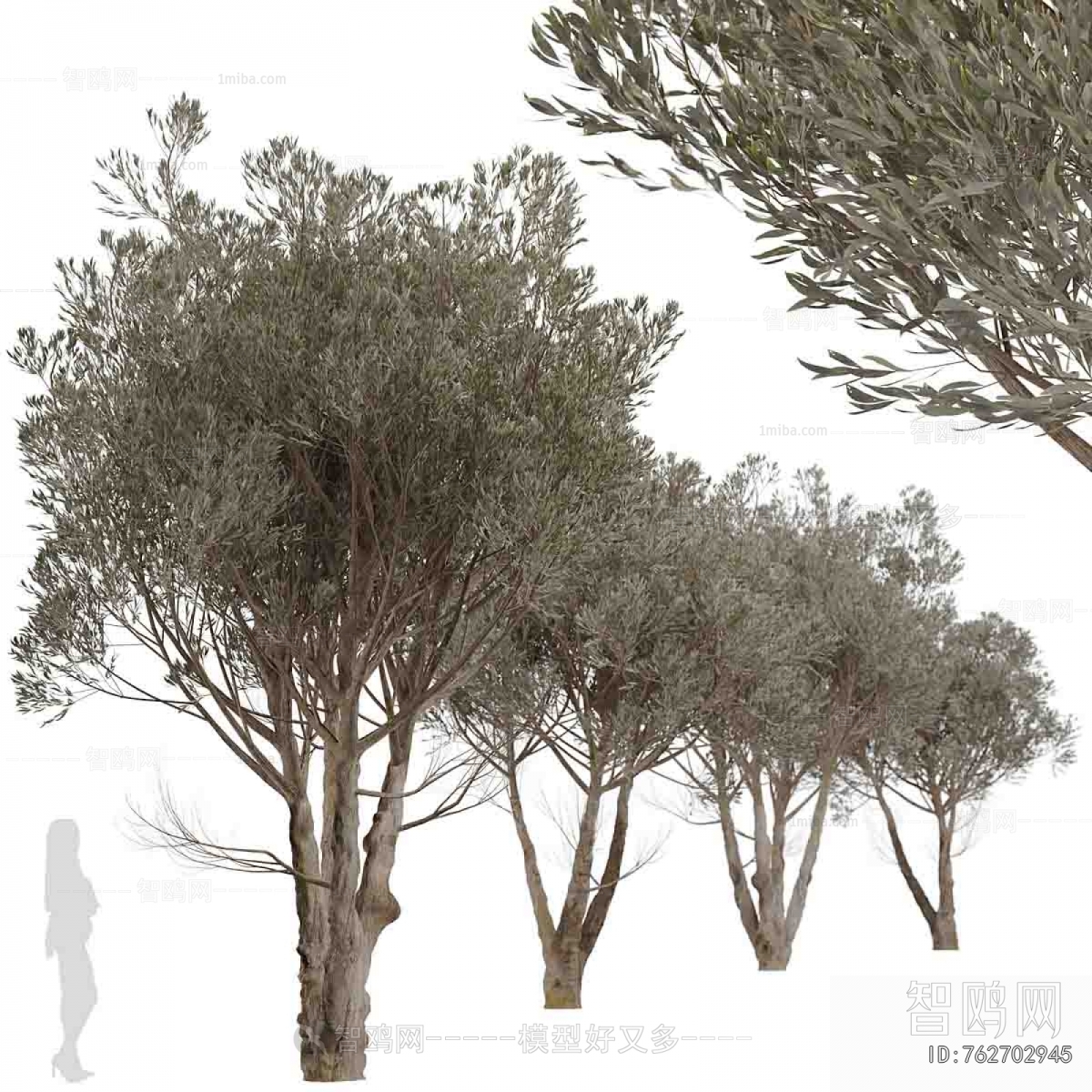Modern Tree
