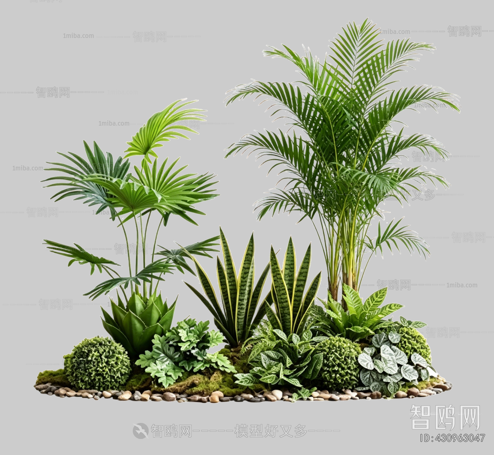 Plant Leaves