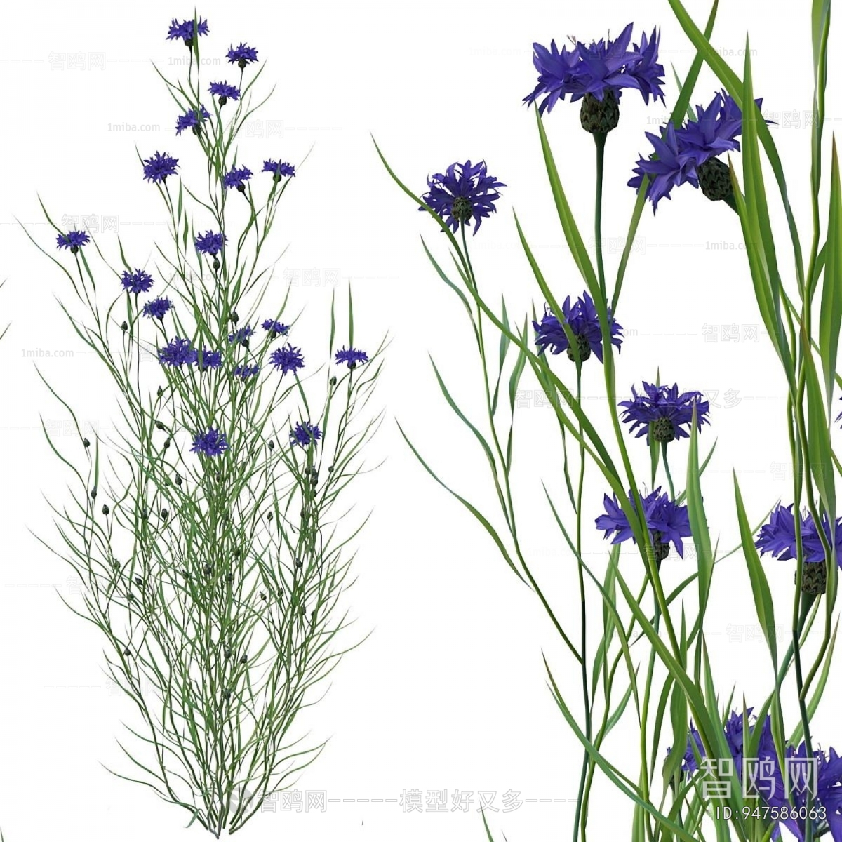 Modern Flowers And Grass
