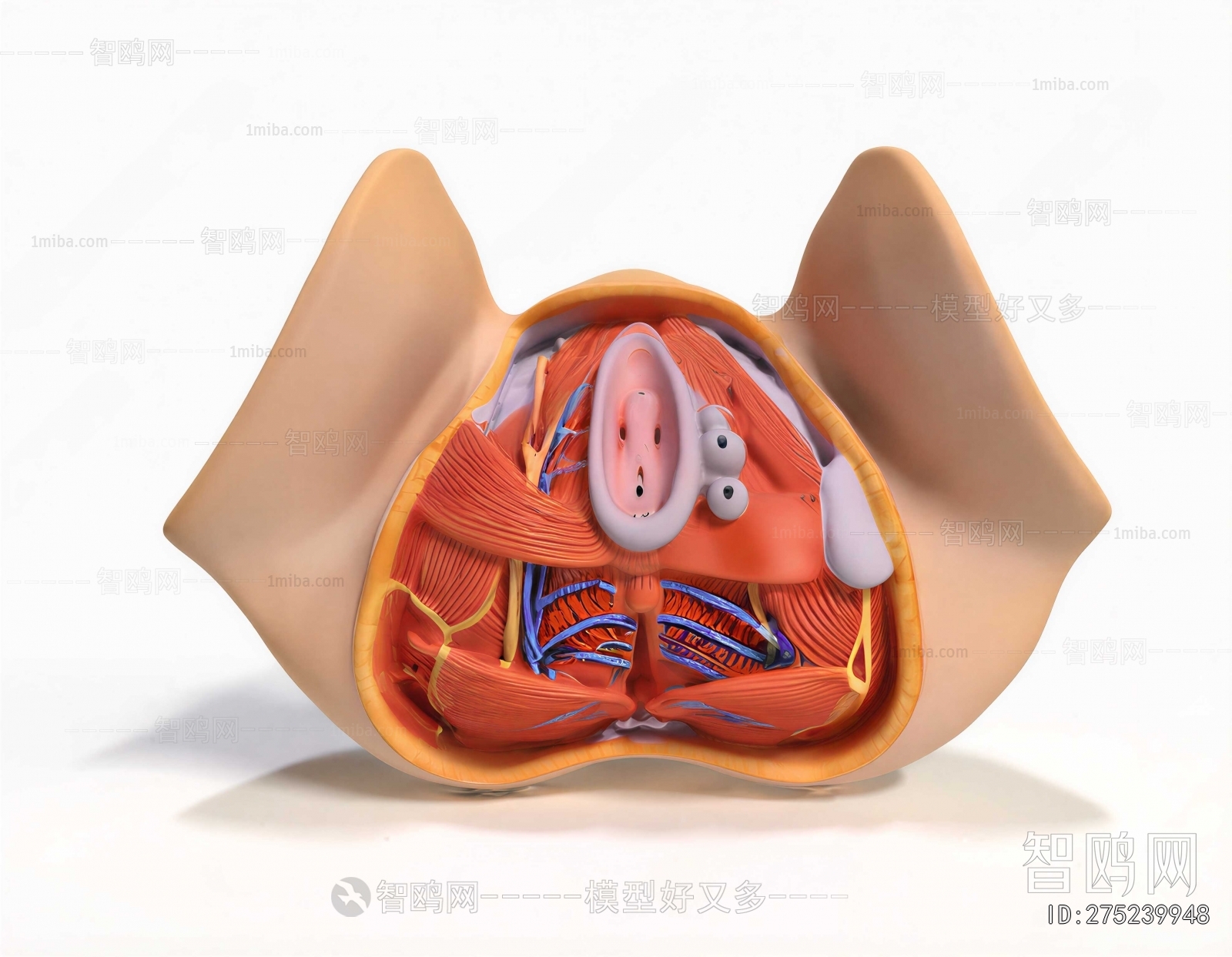 Modern Medical Equipment