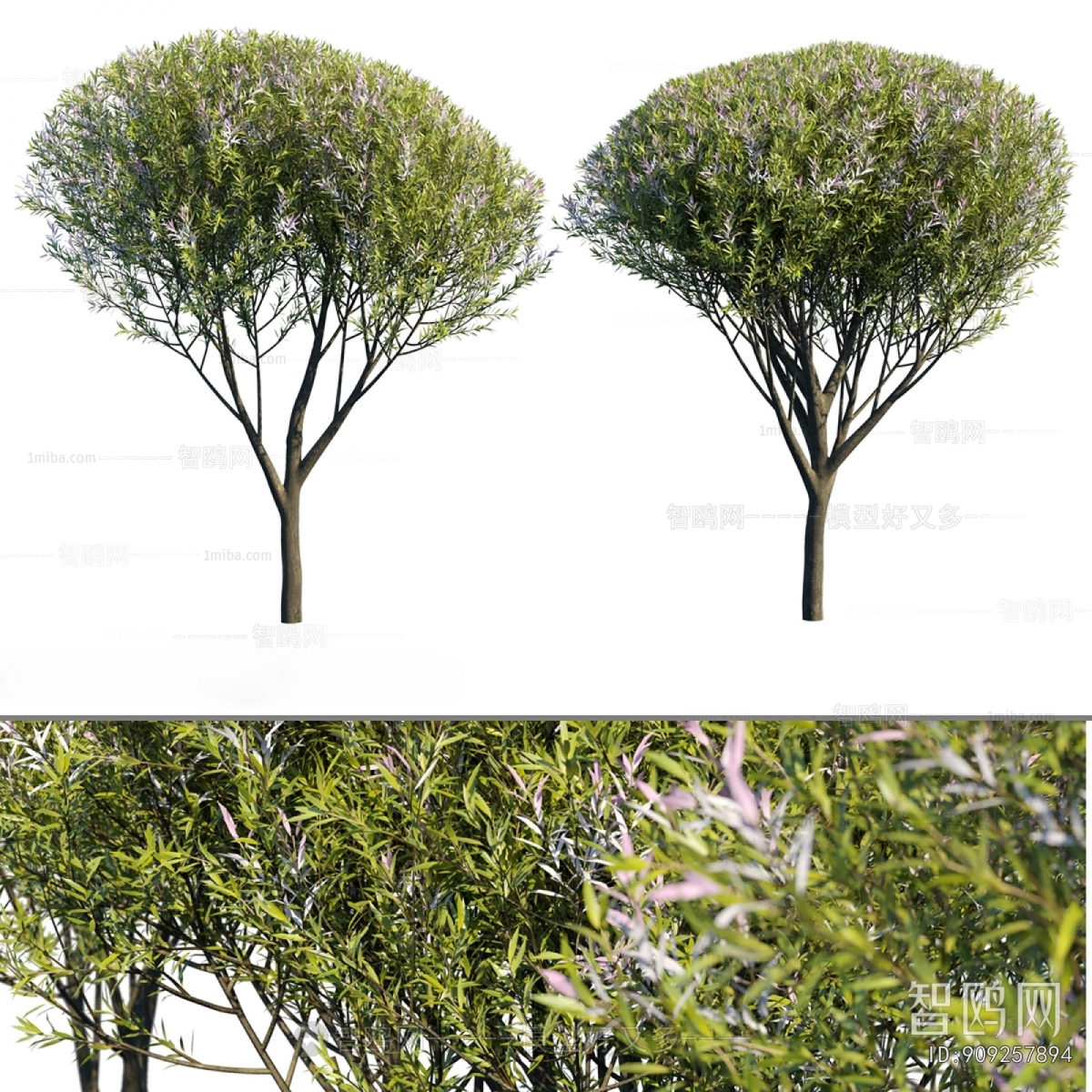 Modern Tree