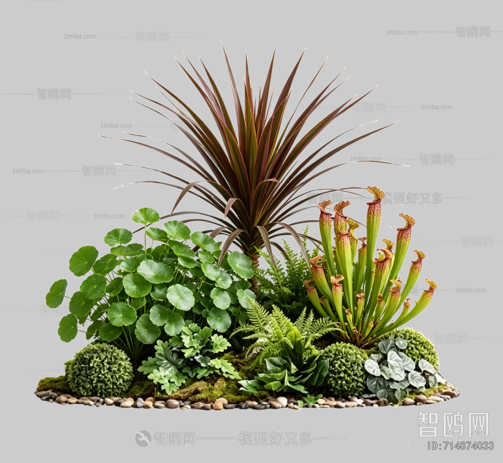 Plant Leaves