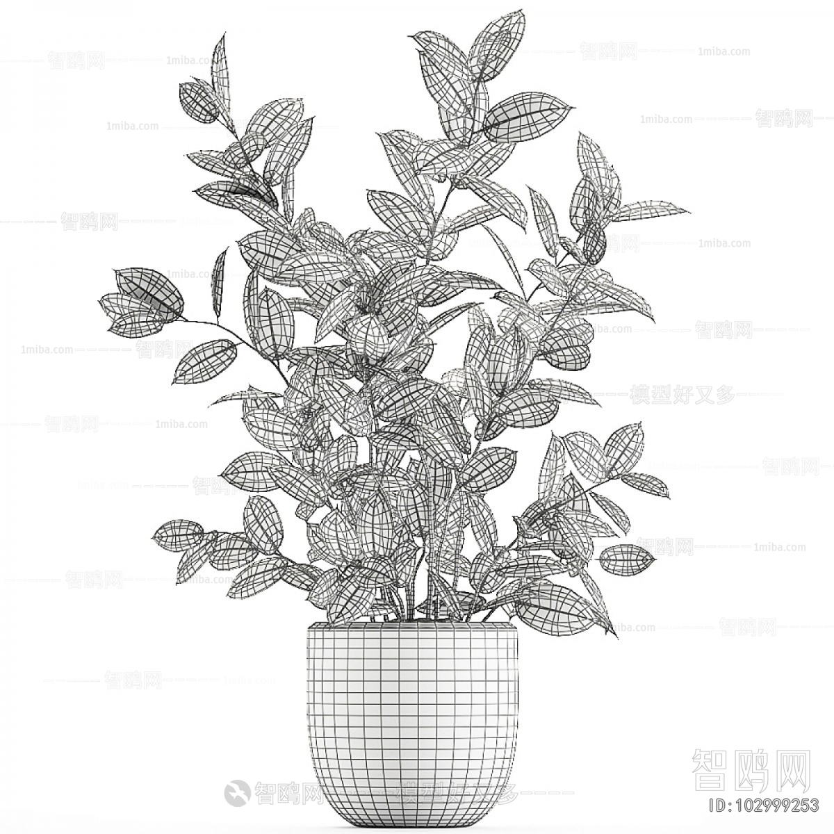 Modern Potted Green Plant
