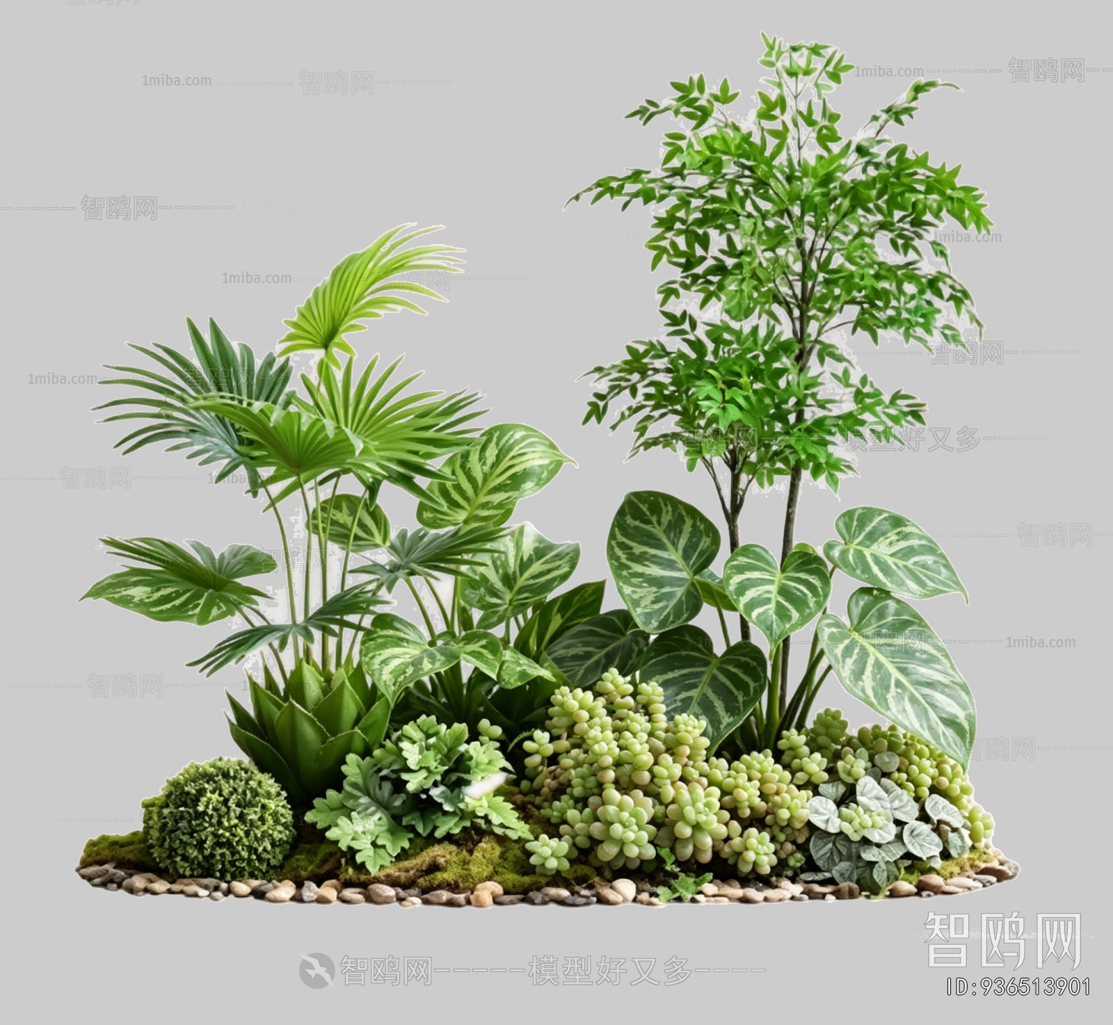 Plant Leaves