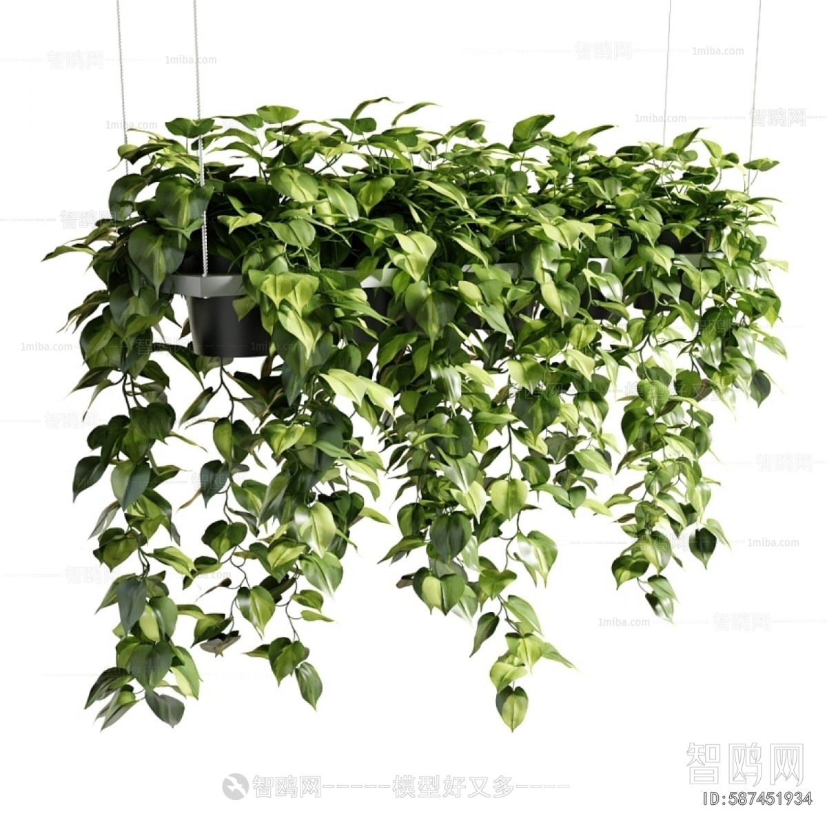 Modern Plant