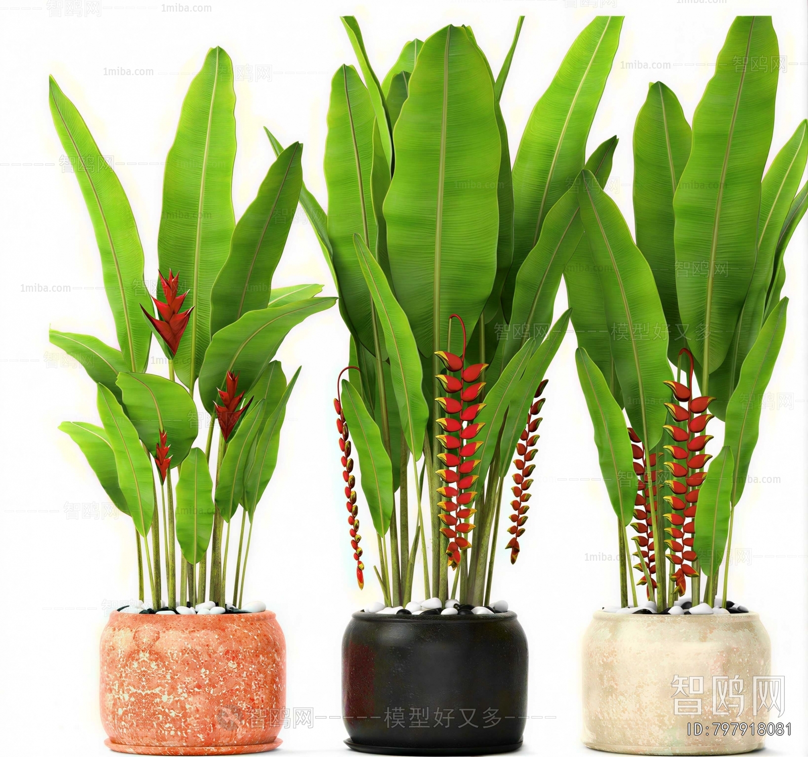 Modern Ground Green Plant Potted Plants