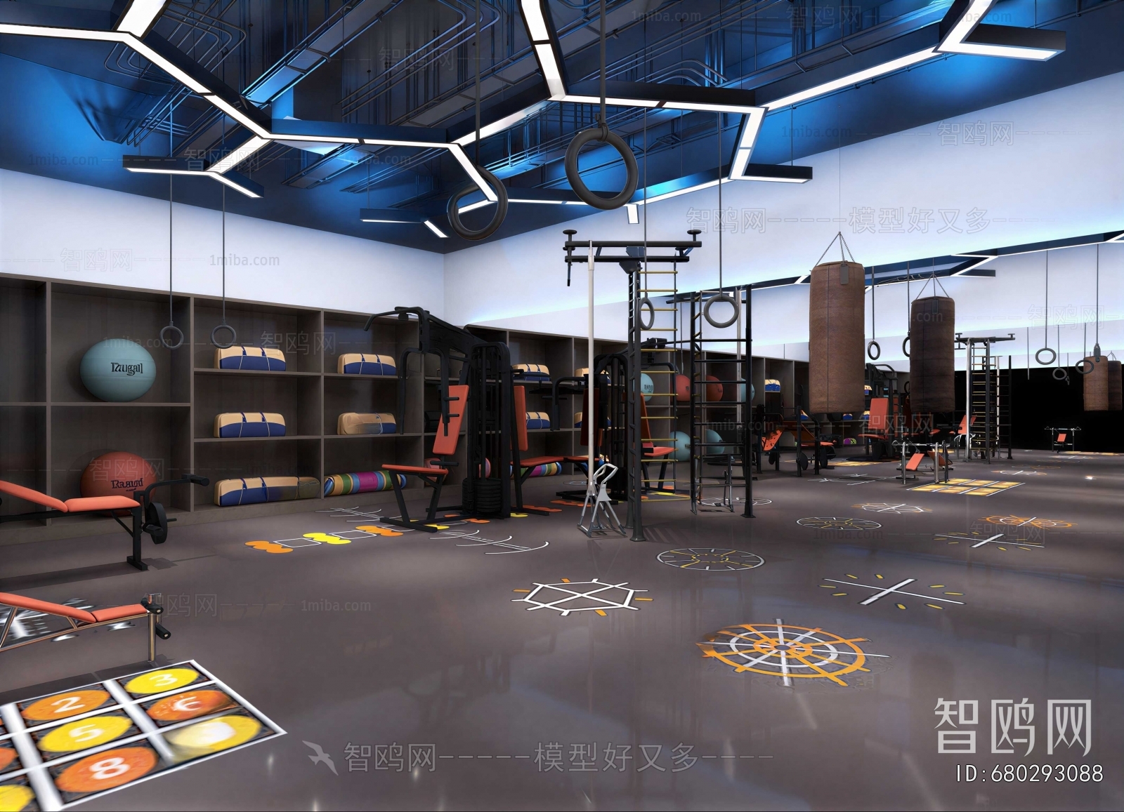 Modern Gym