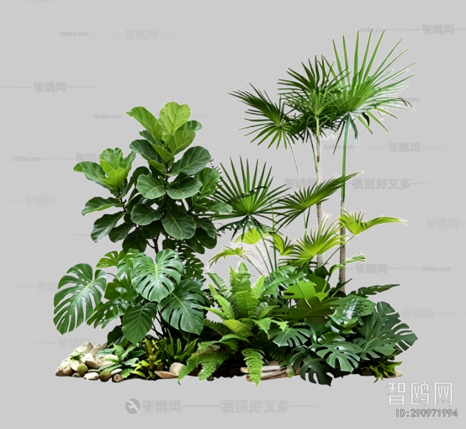 Plant Leaves