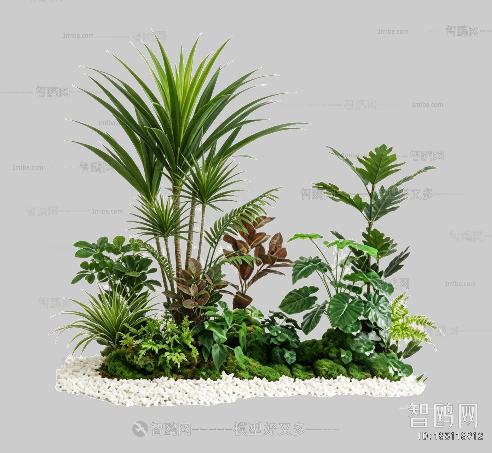 Plant Leaves