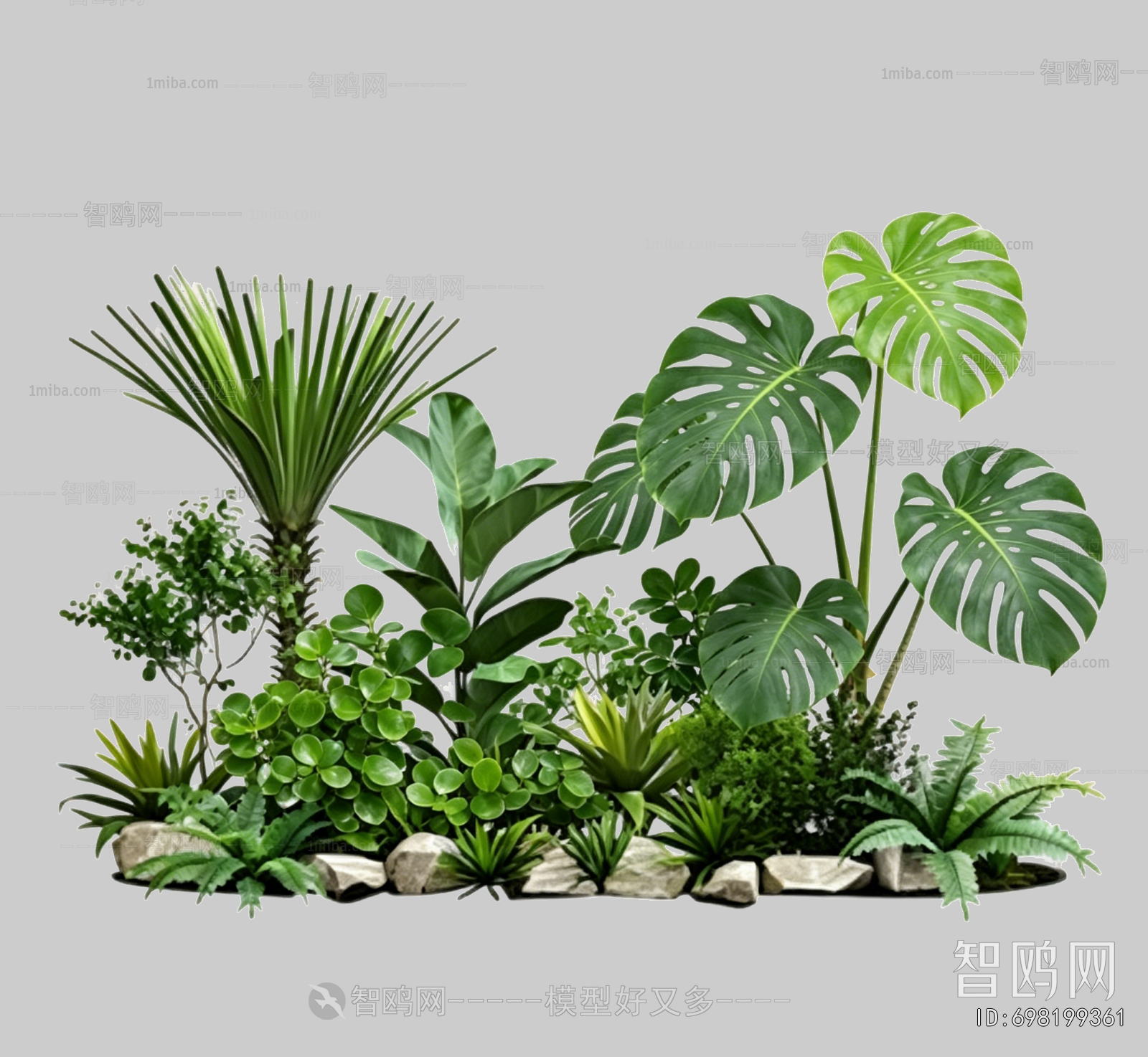 Plant Leaves