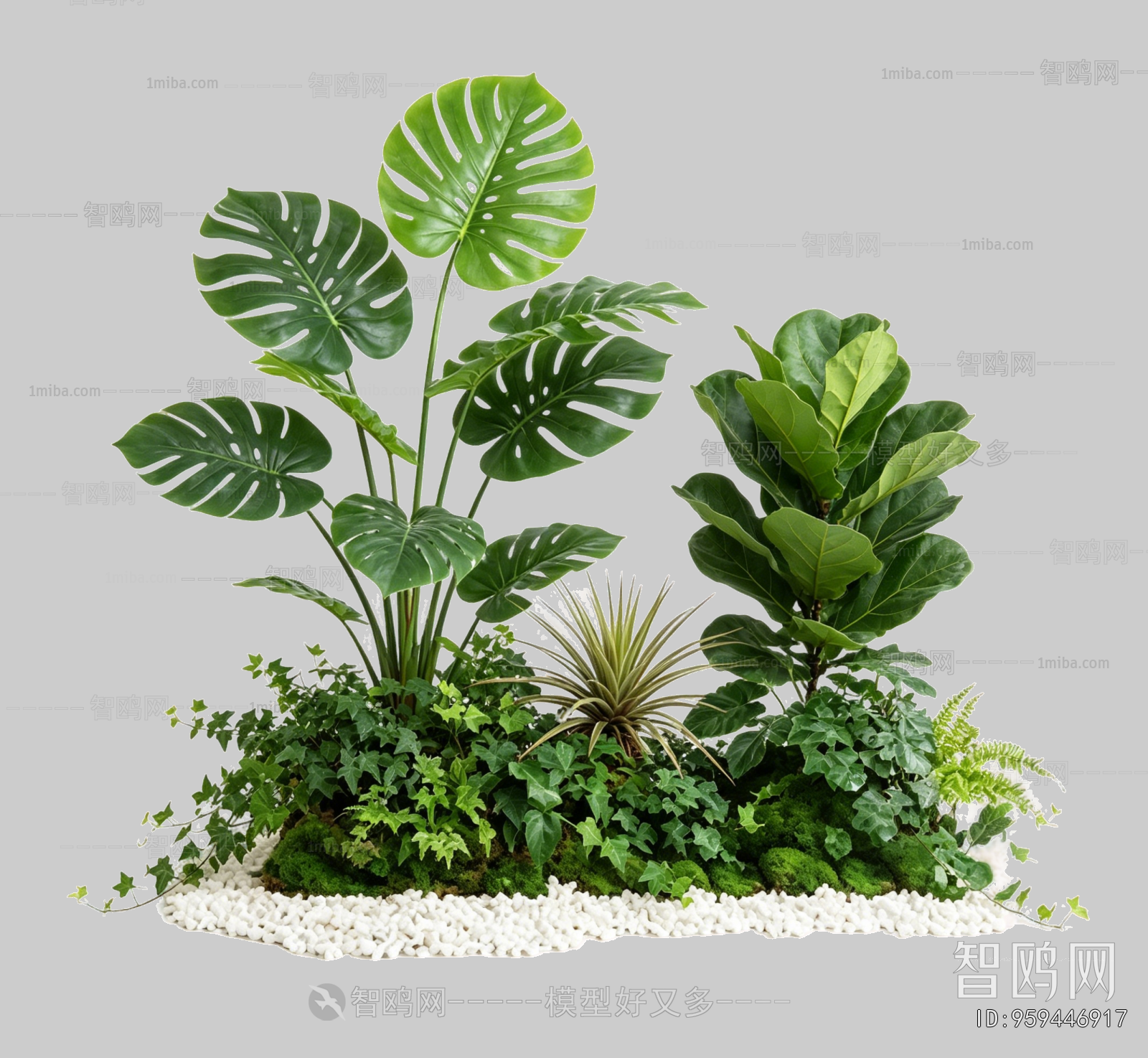 Plant Leaves