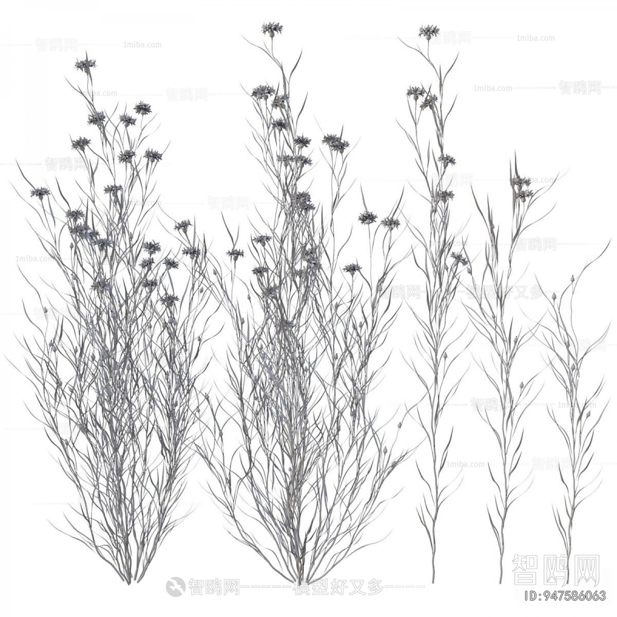 Modern Flowers And Grass