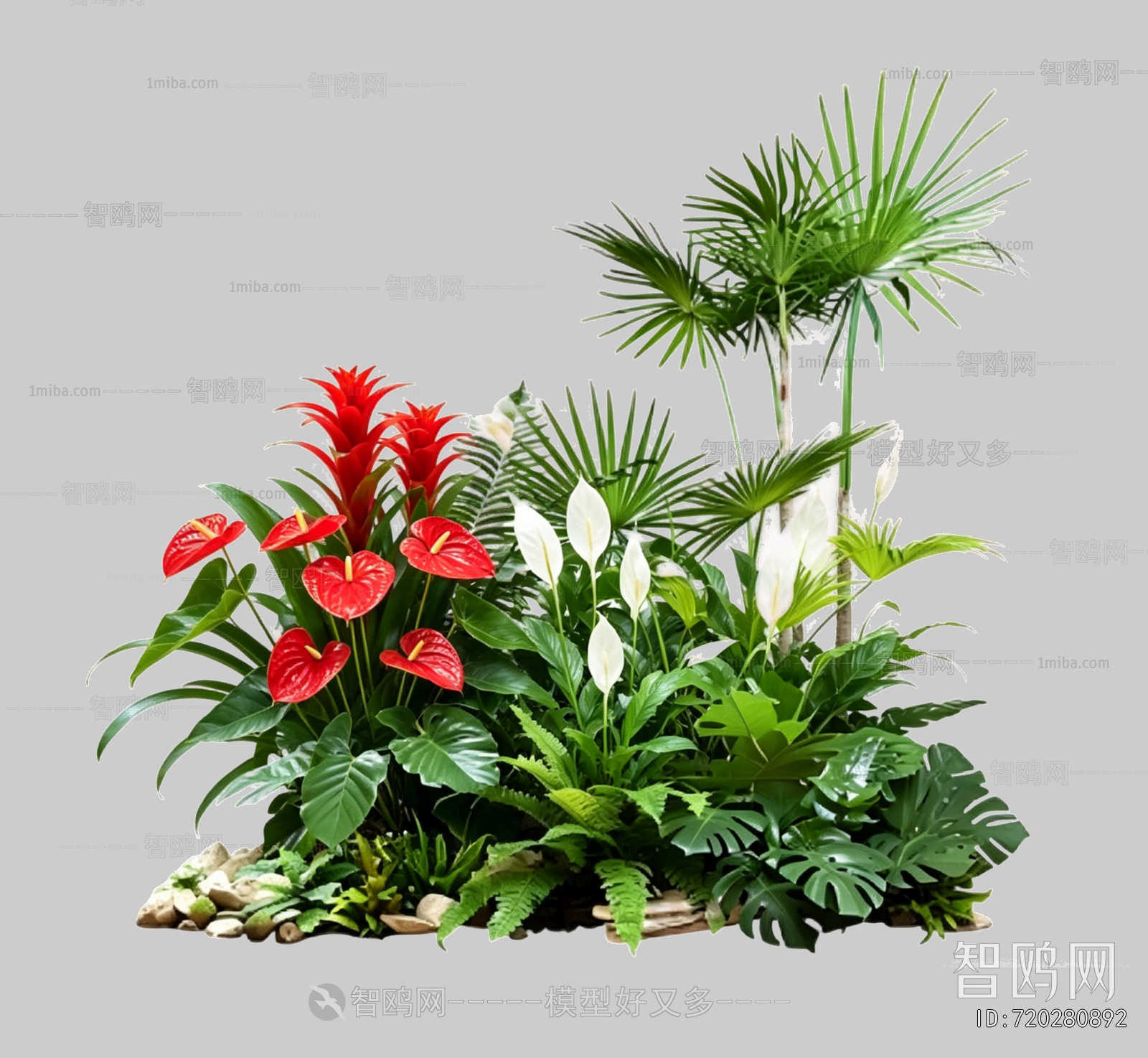 Plant Leaves