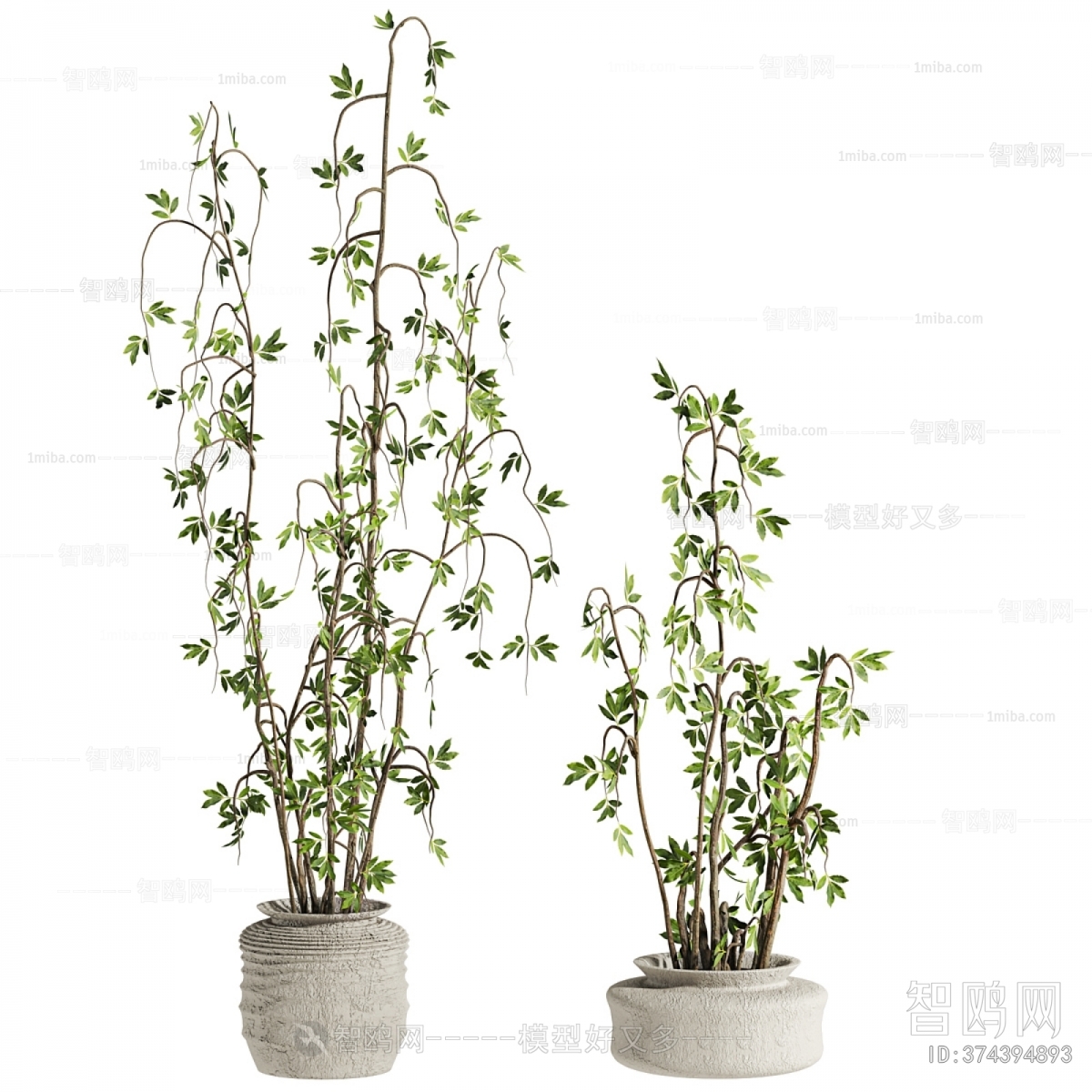 Modern Ground Green Plant Potted Plants