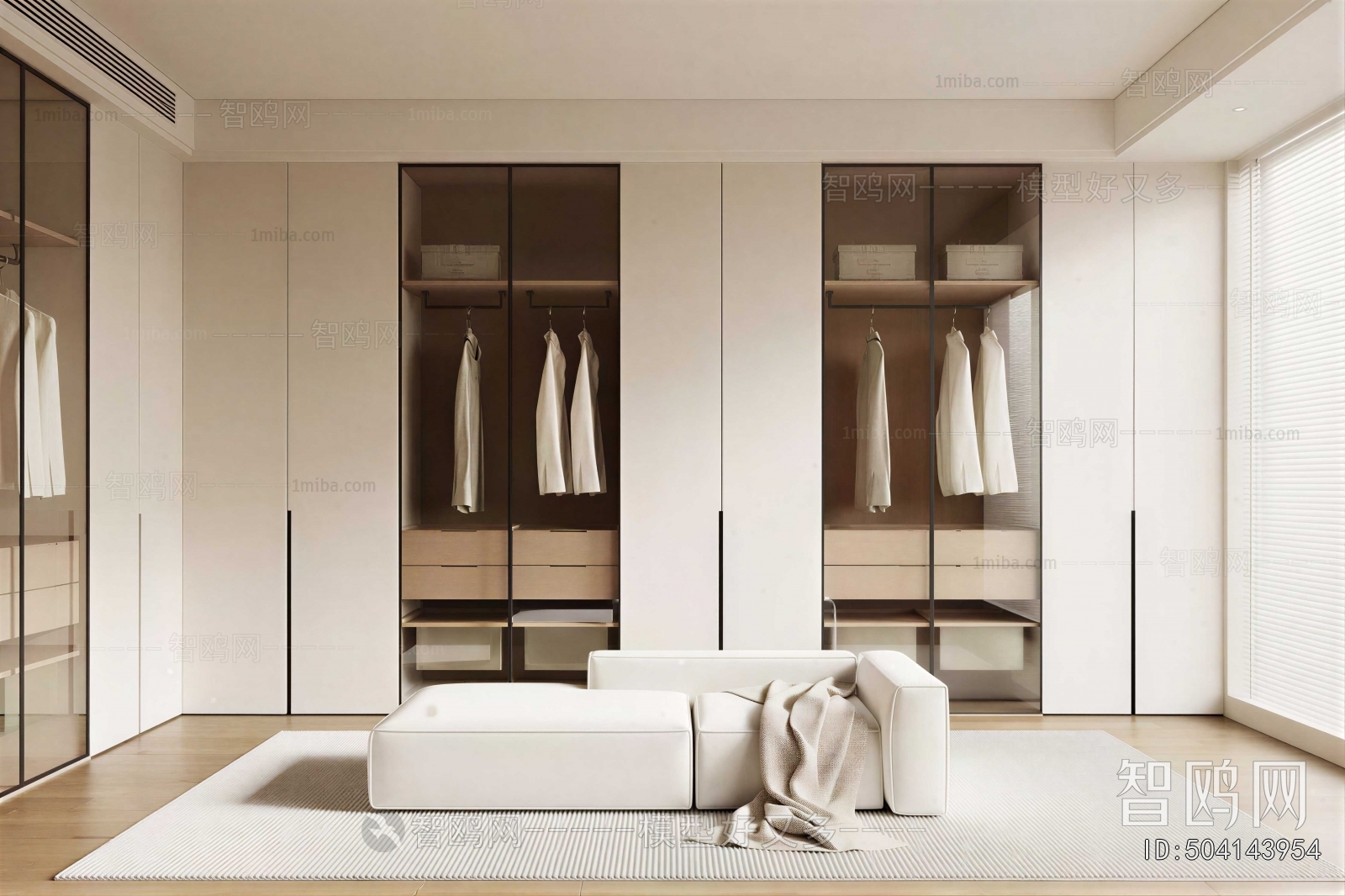Modern Clothes Storage Area