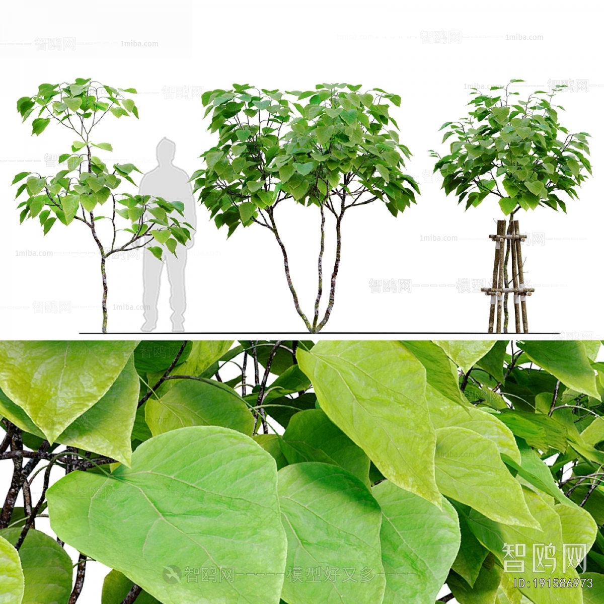 Modern Tree