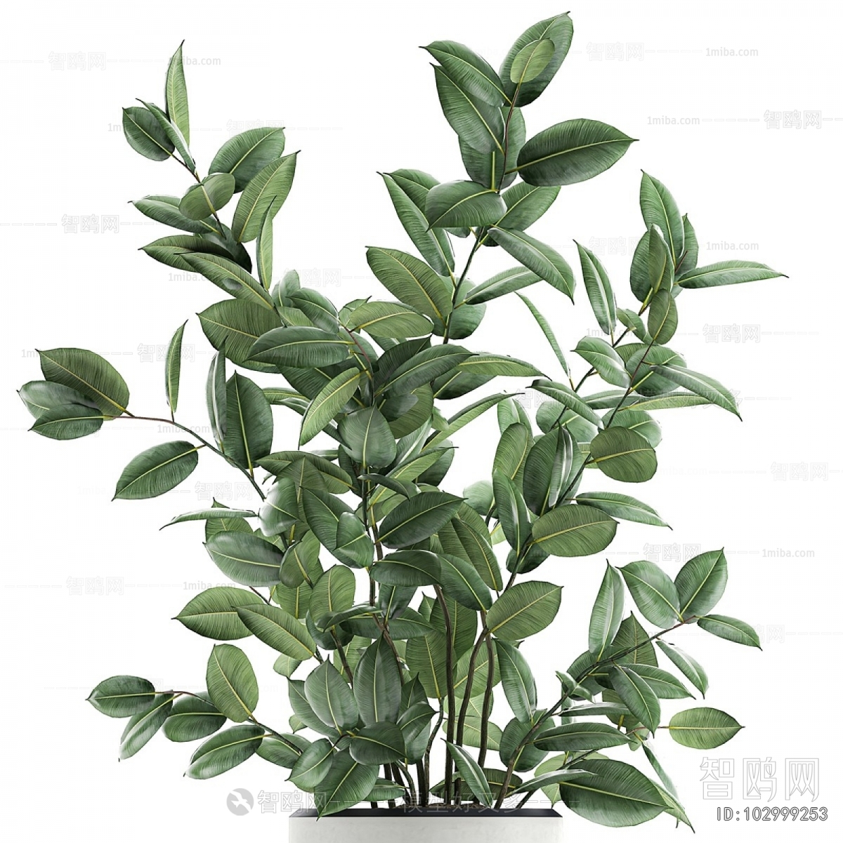 Modern Potted Green Plant
