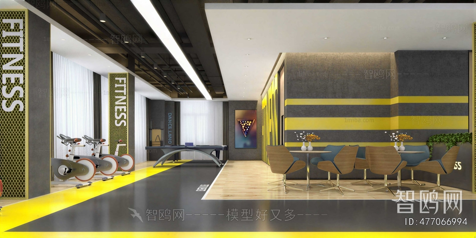 Modern Gym