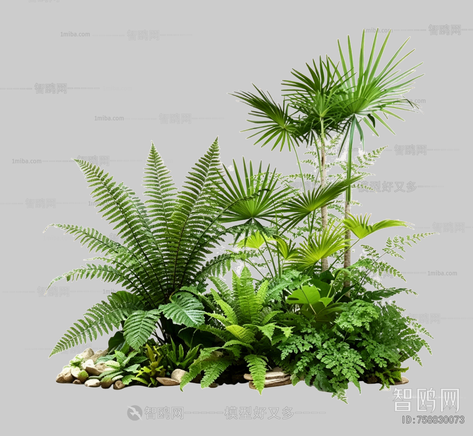 Plant Leaves