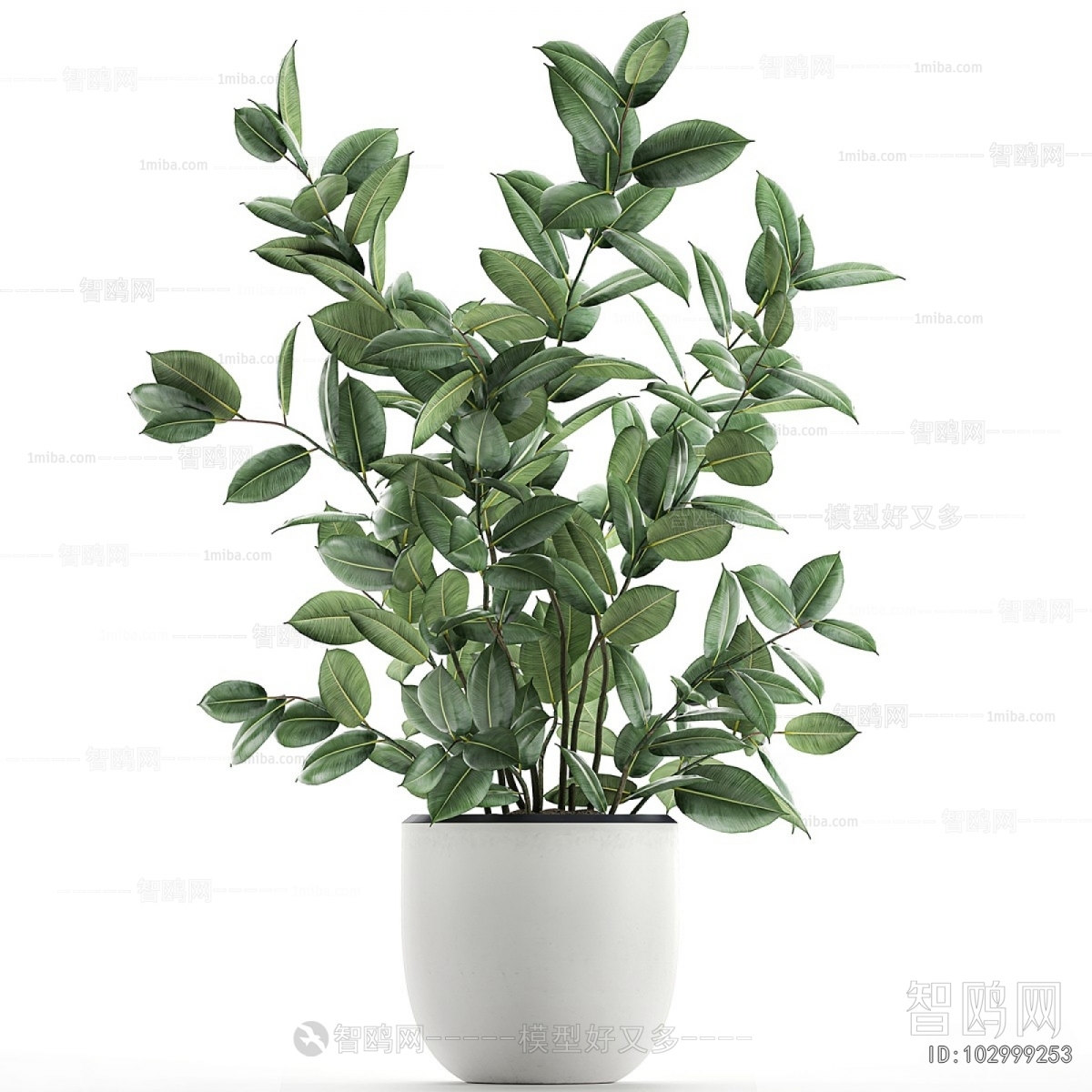 Modern Potted Green Plant